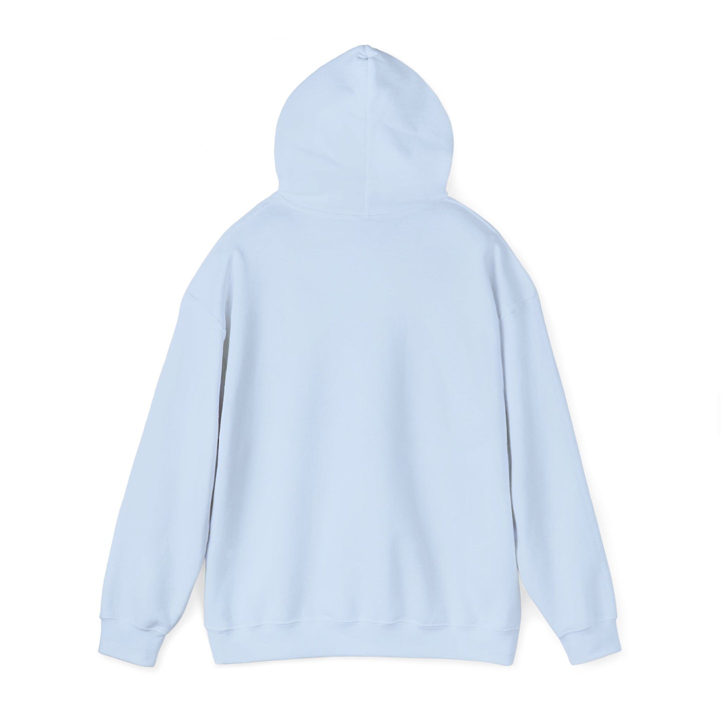 Hooded Sweatshirt - Women's Rights or Women's Vengeance - Motivational Hoodie