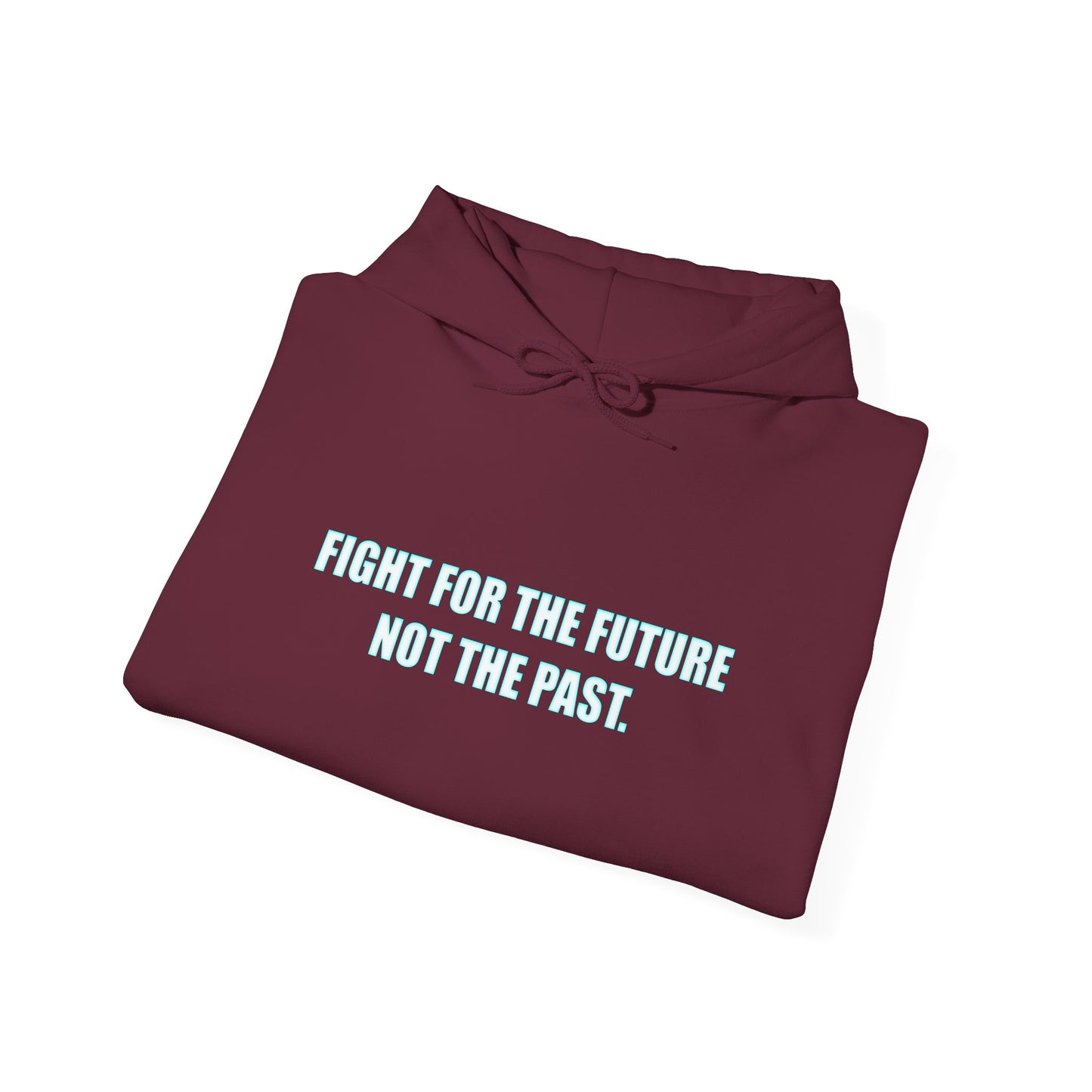Hoodie - "Fight for the Future Not the Past" Inspirational Protest Hoodie