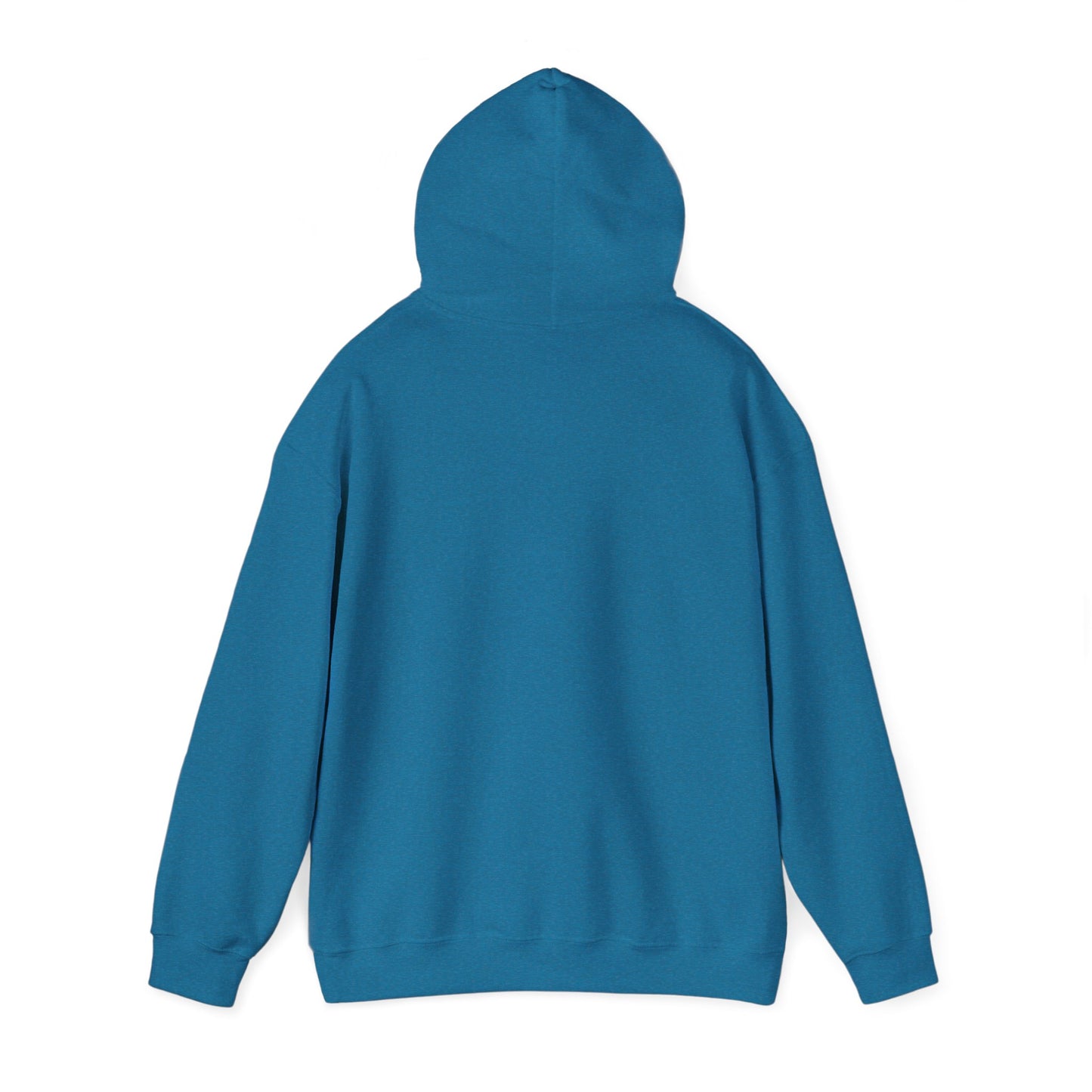 Hoodie - "Fight for the Future Not the Past" Inspirational Protest Hoodie