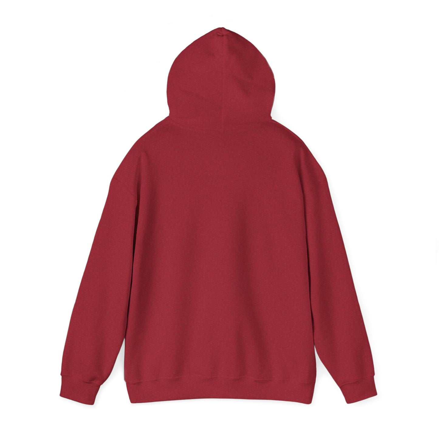 Hoodie - "Fight for the Future Not the Past" Inspirational Protest Hoodie