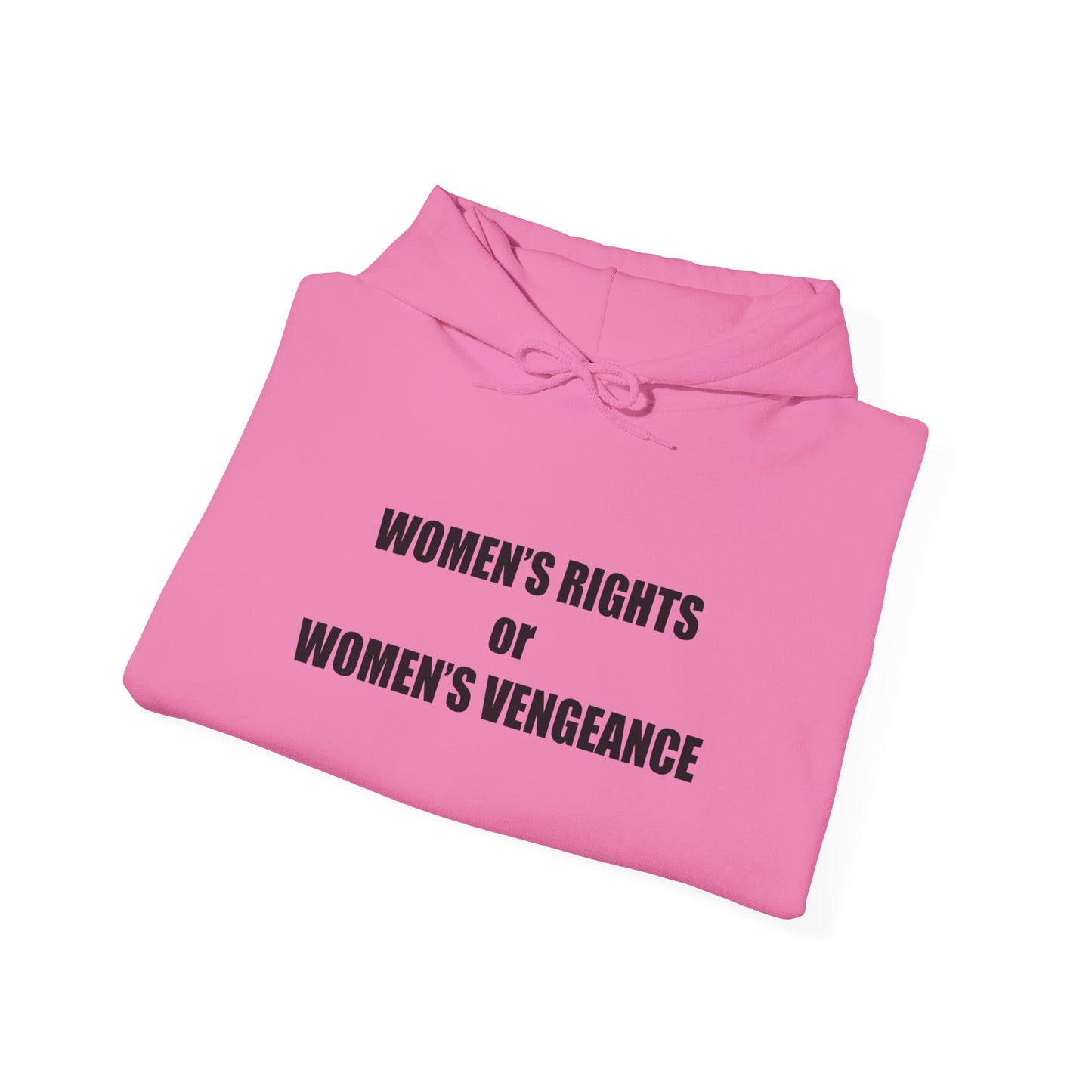 Hooded Sweatshirt - Women's Rights or Women's Vengeance - Motivational Hoodie