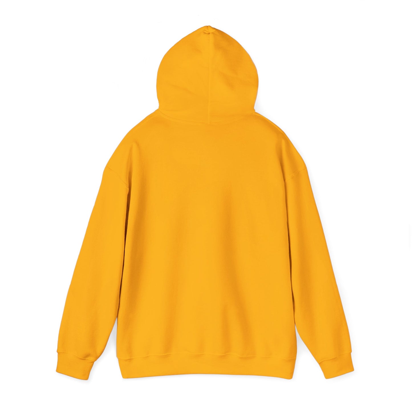 Hoodie — Socialist Jesus Ironic Slogan Hoodie