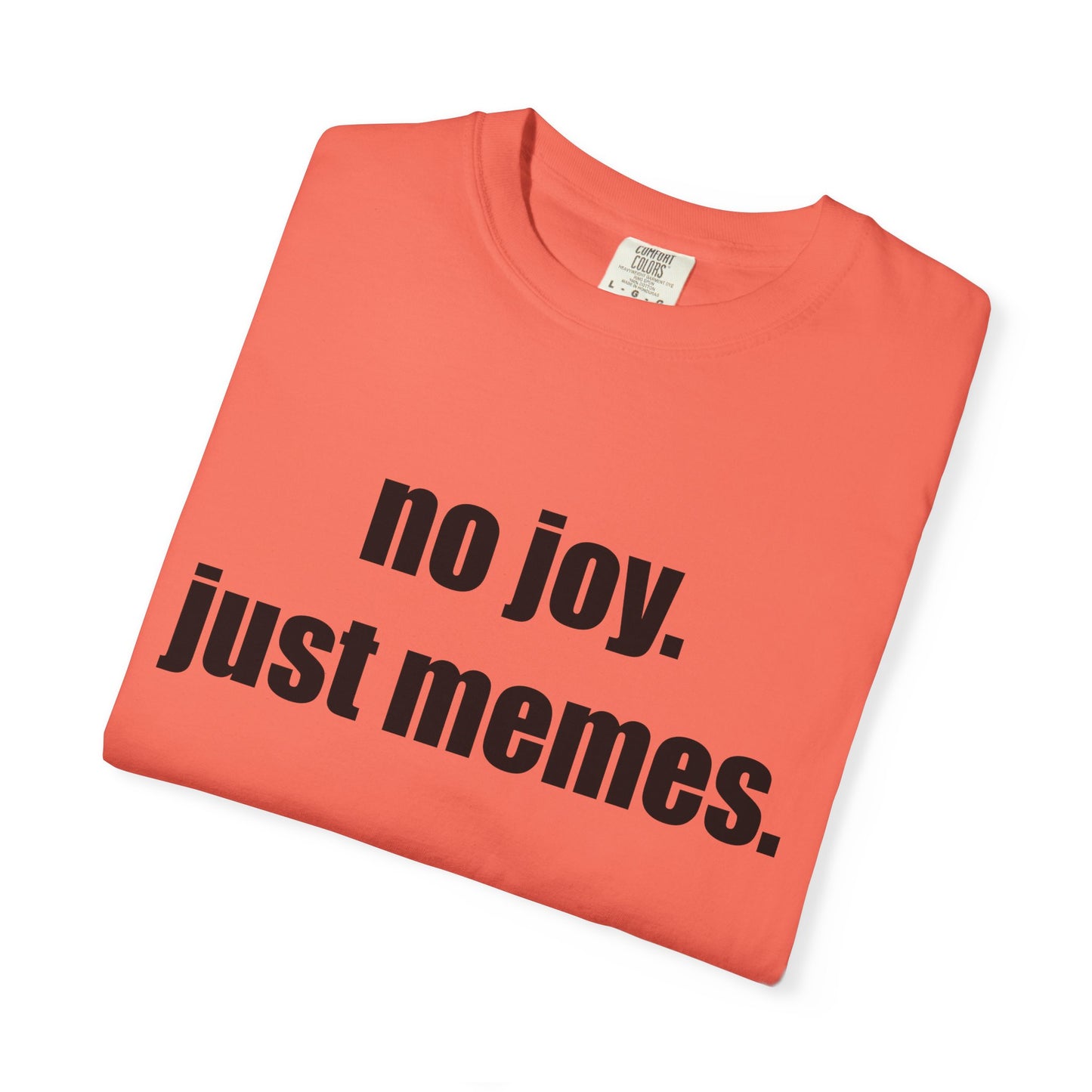 T-Shirt — "no joy. just memes." Graphic Tee
