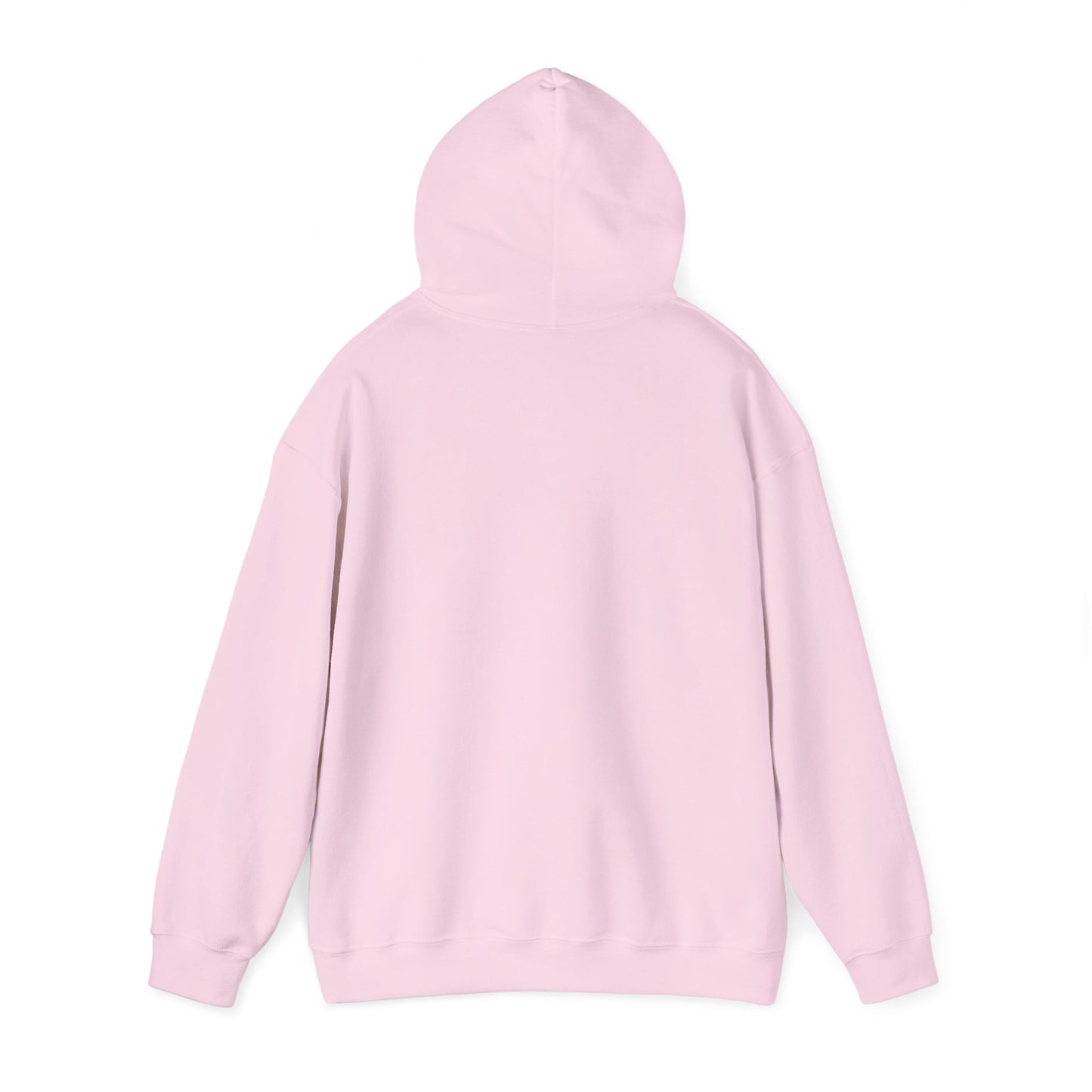Hoodie — "Fight for the Future Not the Past" Motivational Slogan Hoodie