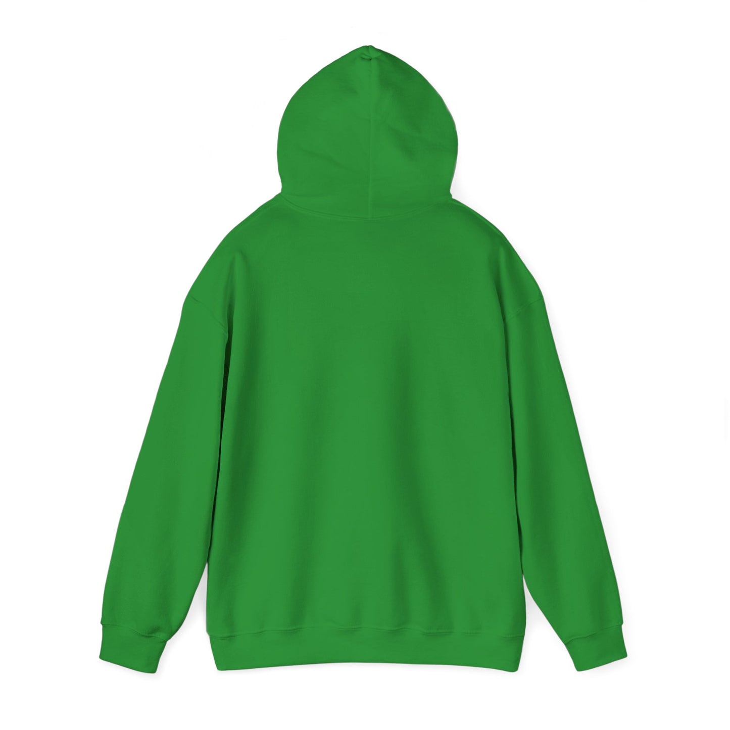 Hoodie - "Fight for the Future Not the Past" Inspirational Protest Hoodie