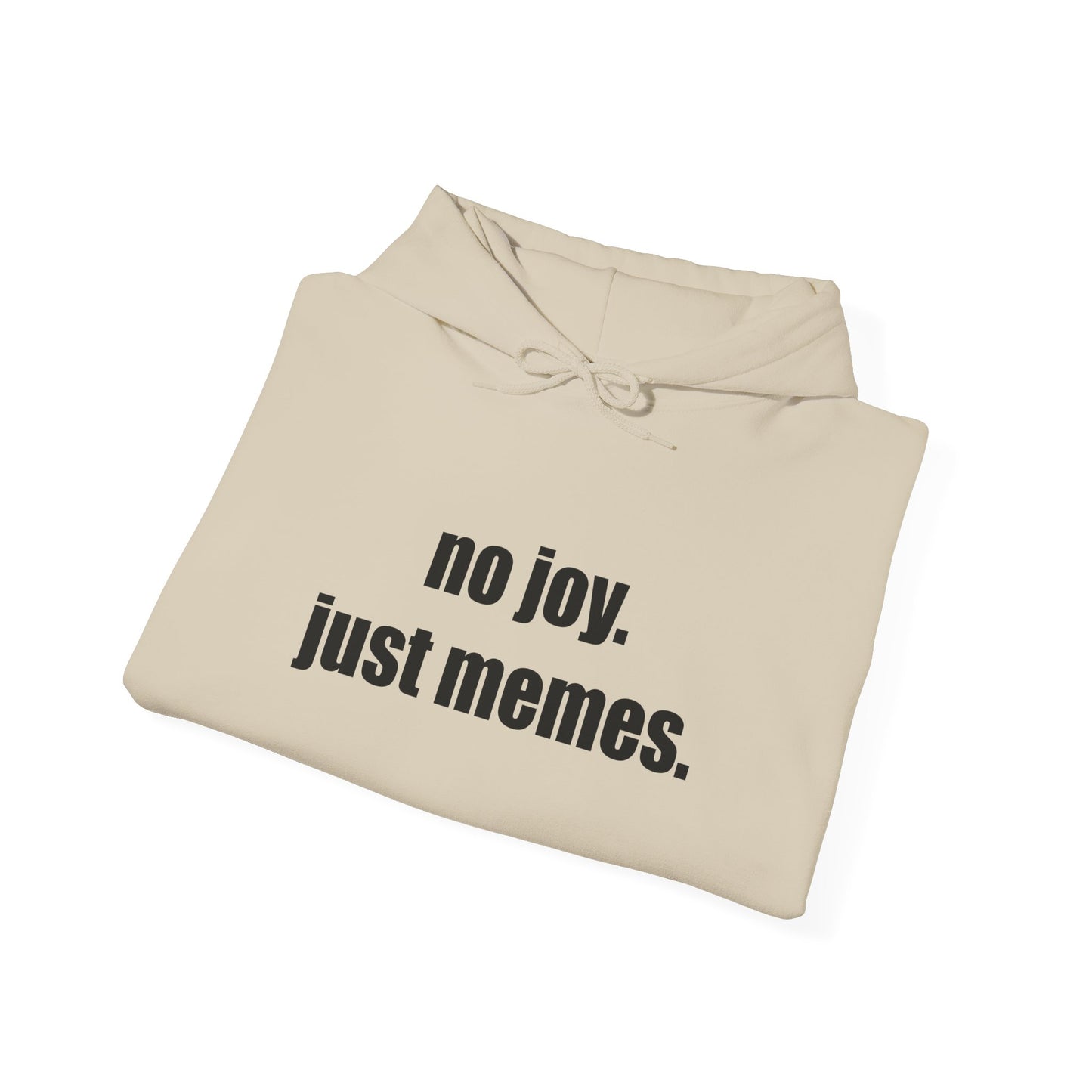Hoodie — "no joy. just memes." Minimal Meme Text Pullover