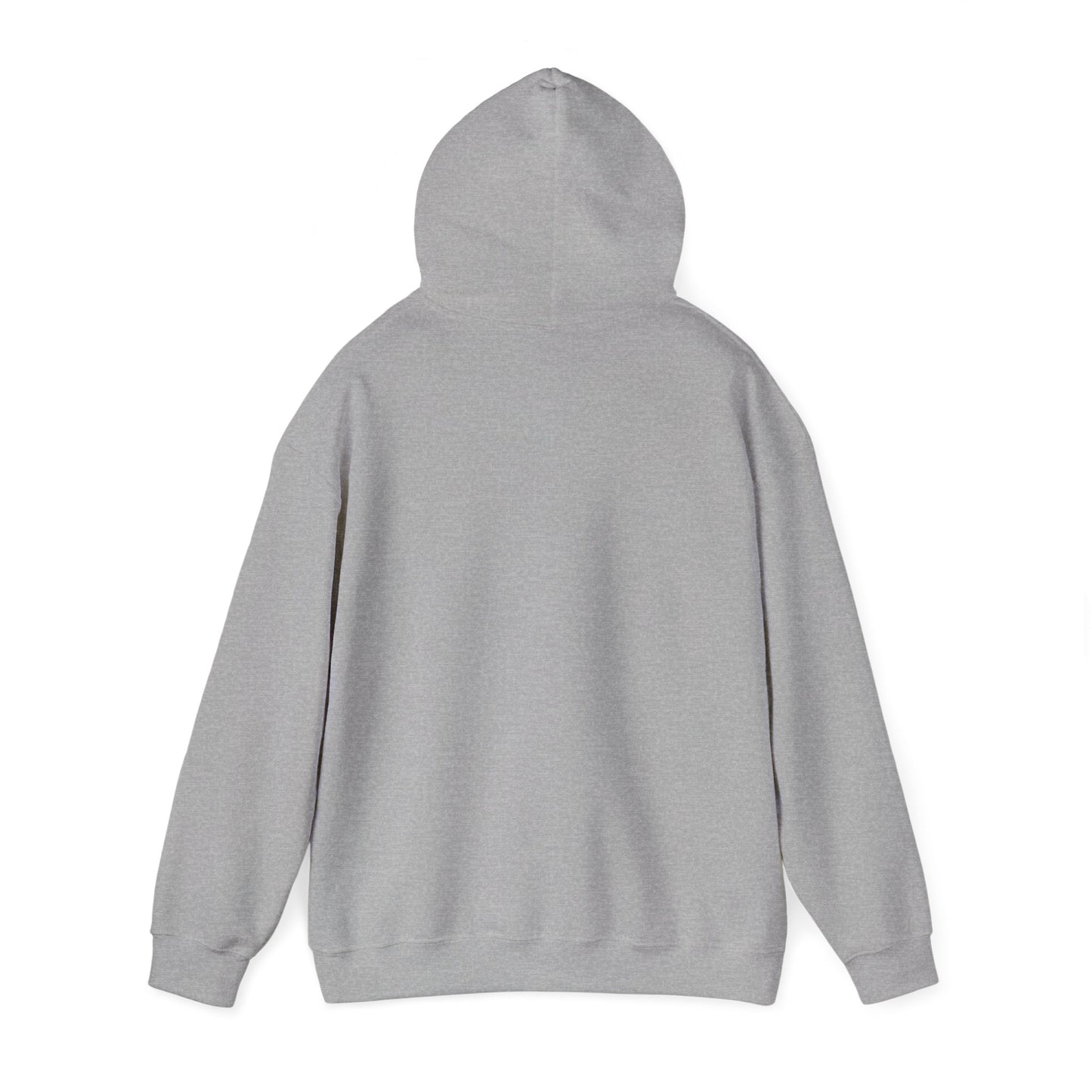Hoodie — "I Frighten Conservatives" Rainbow Text Pullover