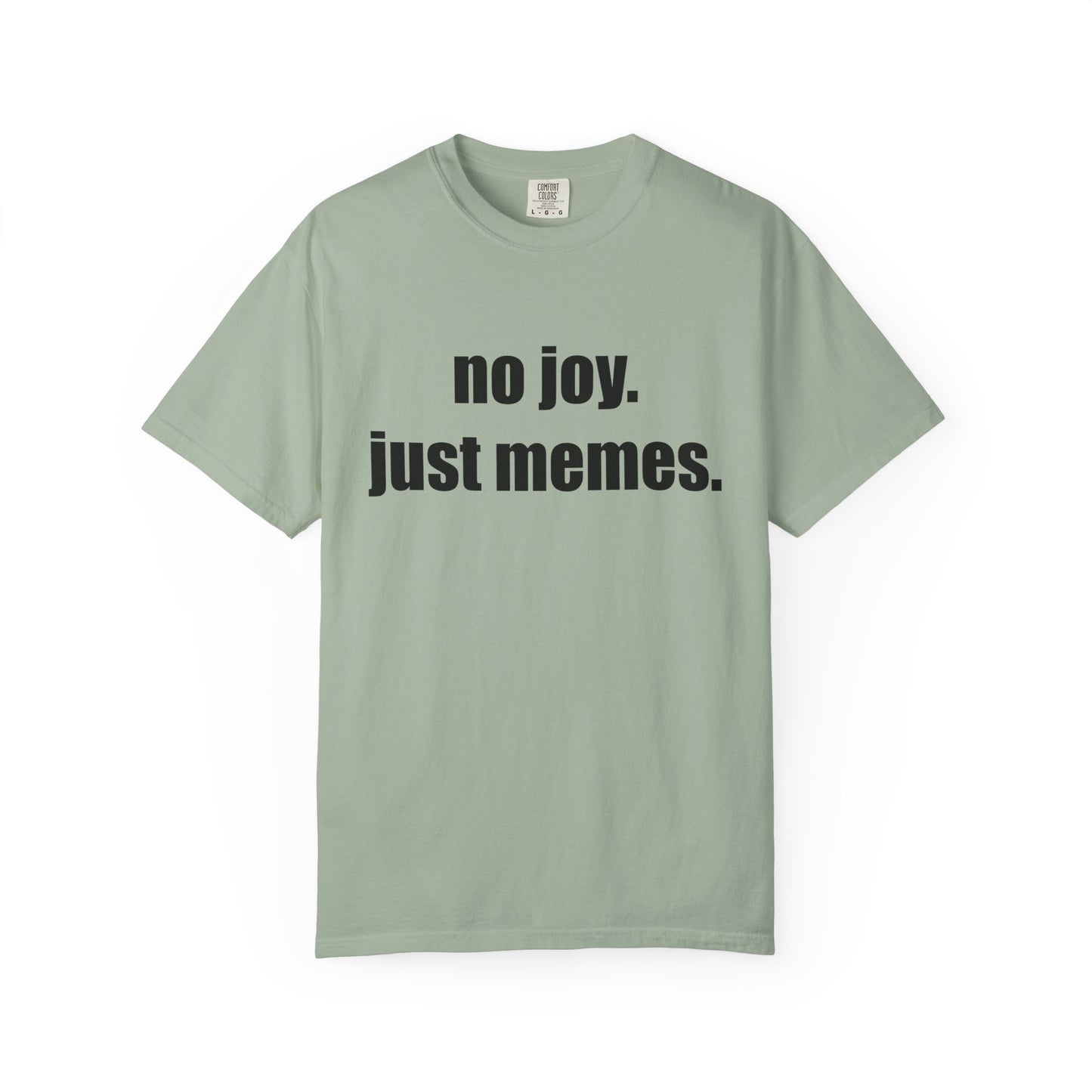 T-Shirt — "no joy. just memes." Graphic Tee