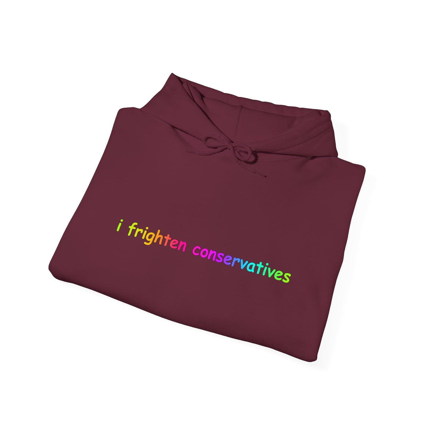 Hoodie — "I Frighten Conservatives" Rainbow Text Pullover
