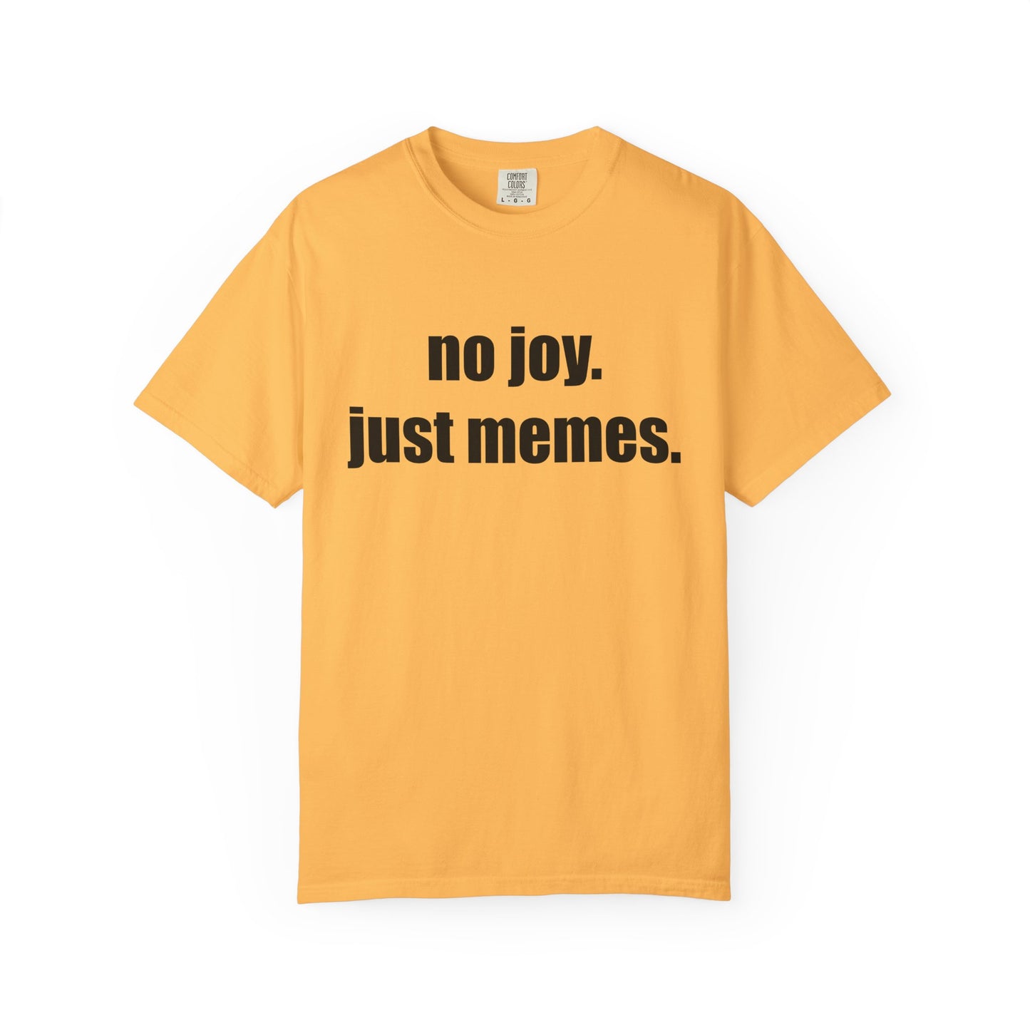 T-Shirt — "no joy. just memes." Graphic Tee