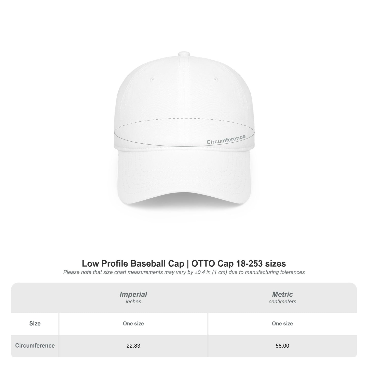 Printed "Bitchtastic Tees" Low Profile Baseball Cap — Retro Script Logo Hat