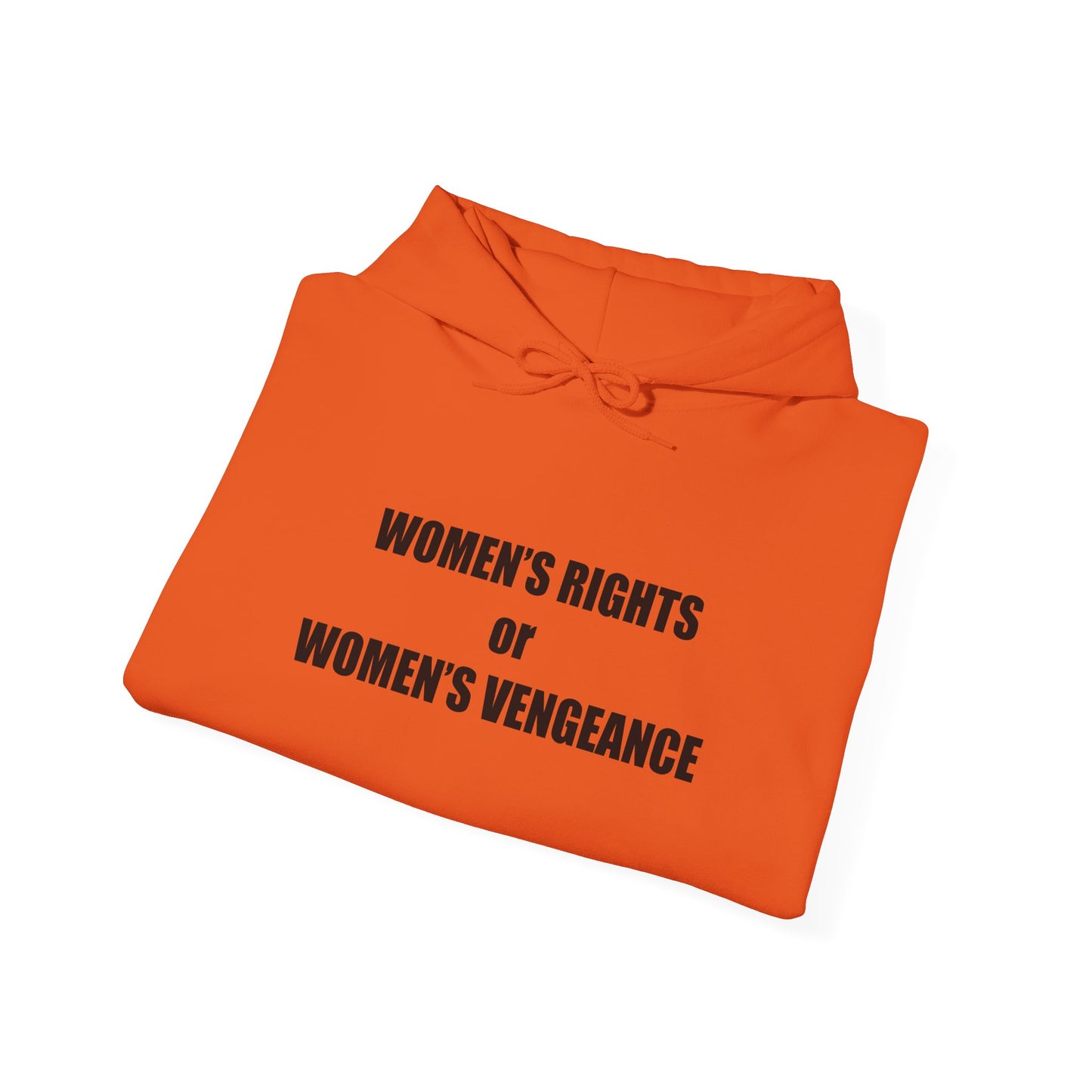 Hooded Sweatshirt - Women's Rights or Women's Vengeance - Motivational Hoodie