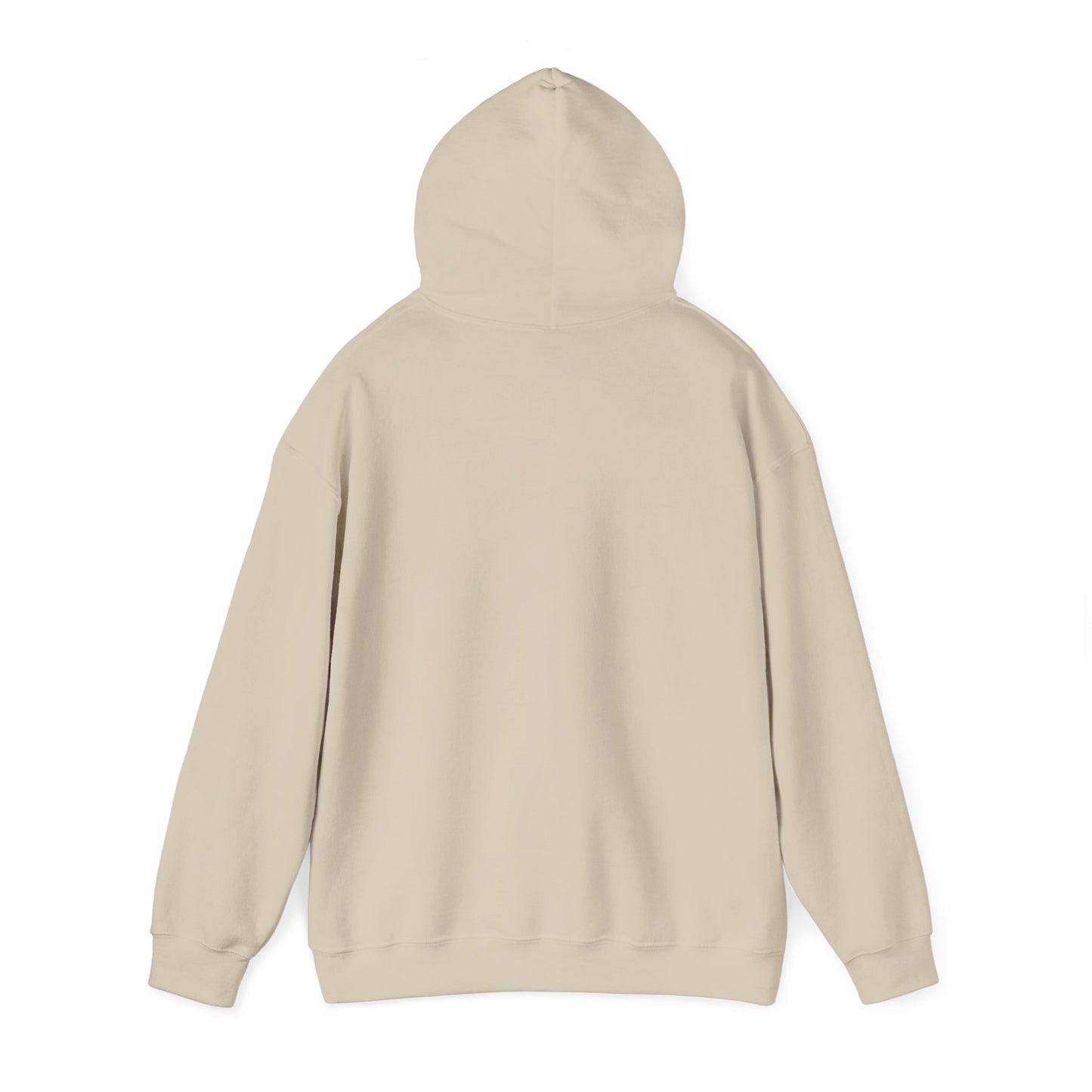 Hoodie — Socialist Jesus Ironic Slogan Hoodie