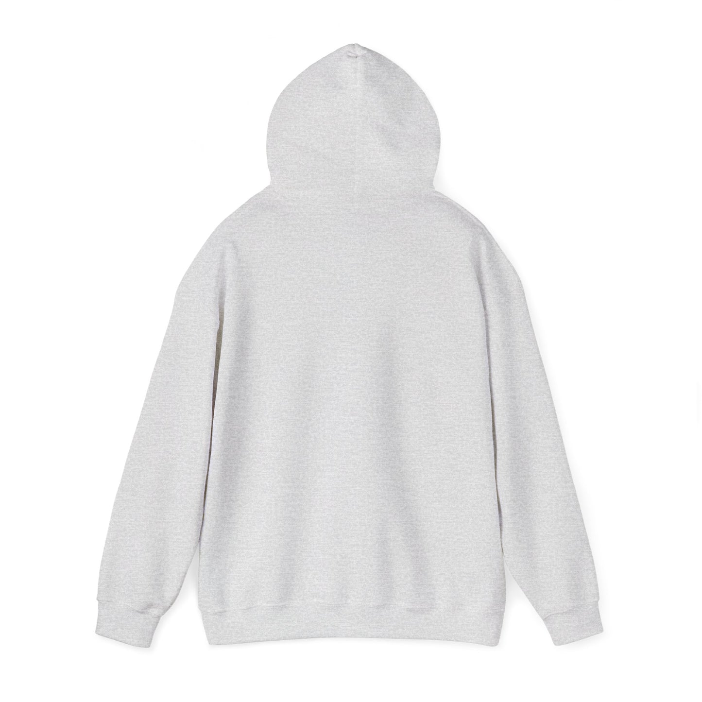 Hoodie — Socialist Jesus Ironic Slogan Hoodie