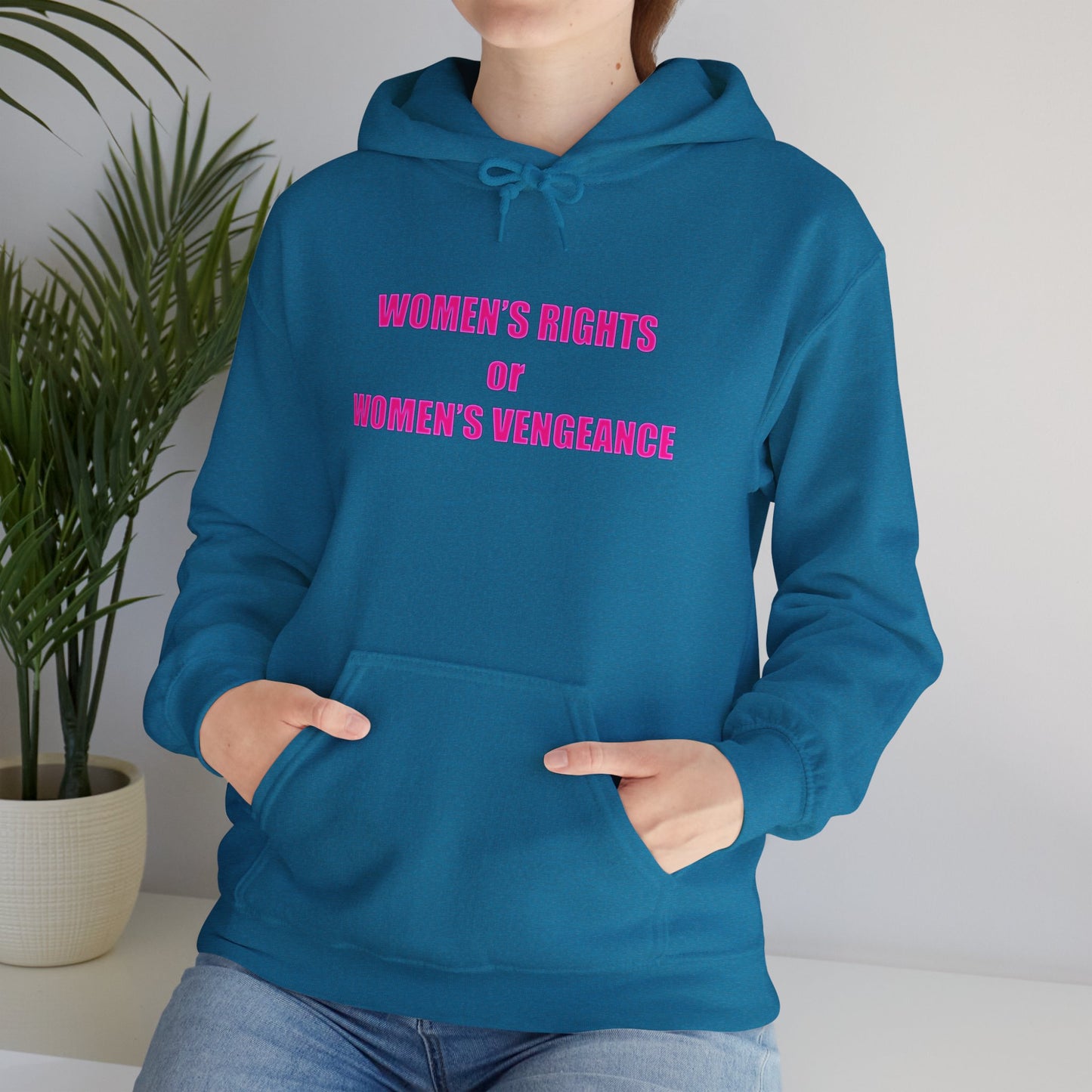 Pullover Hooded Sweatshirt - Women's Rights or Women's Vengeance Inspirational Protest Hoodie