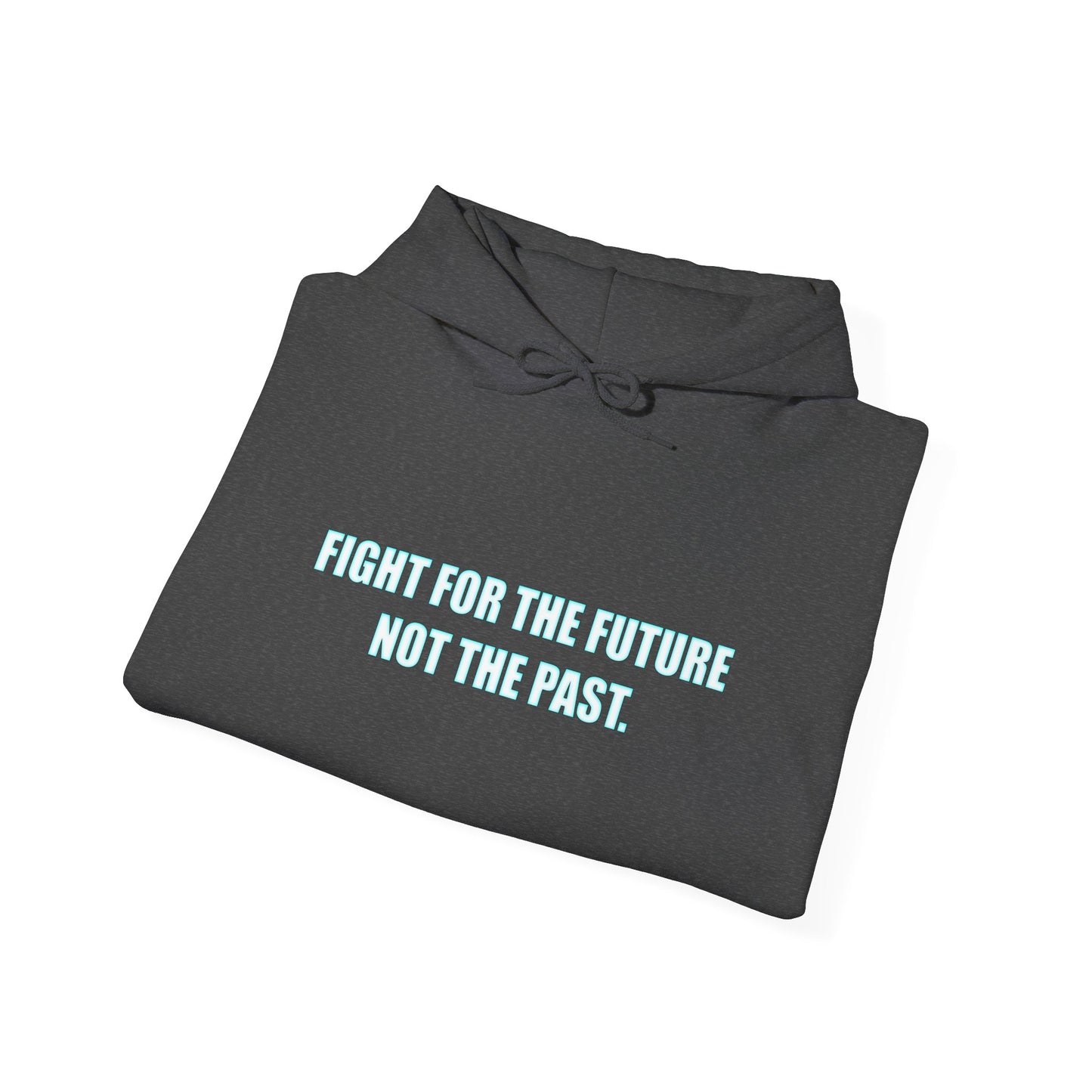Hoodie - "Fight for the Future Not the Past" Inspirational Protest Hoodie