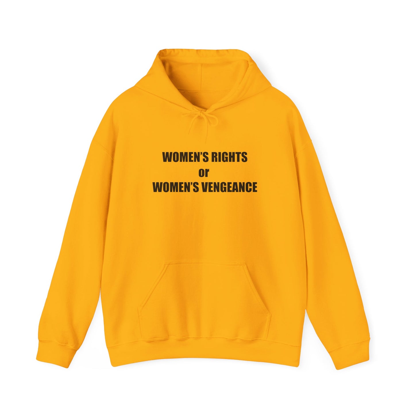 Hooded Sweatshirt - Women's Rights or Women's Vengeance - Motivational Hoodie