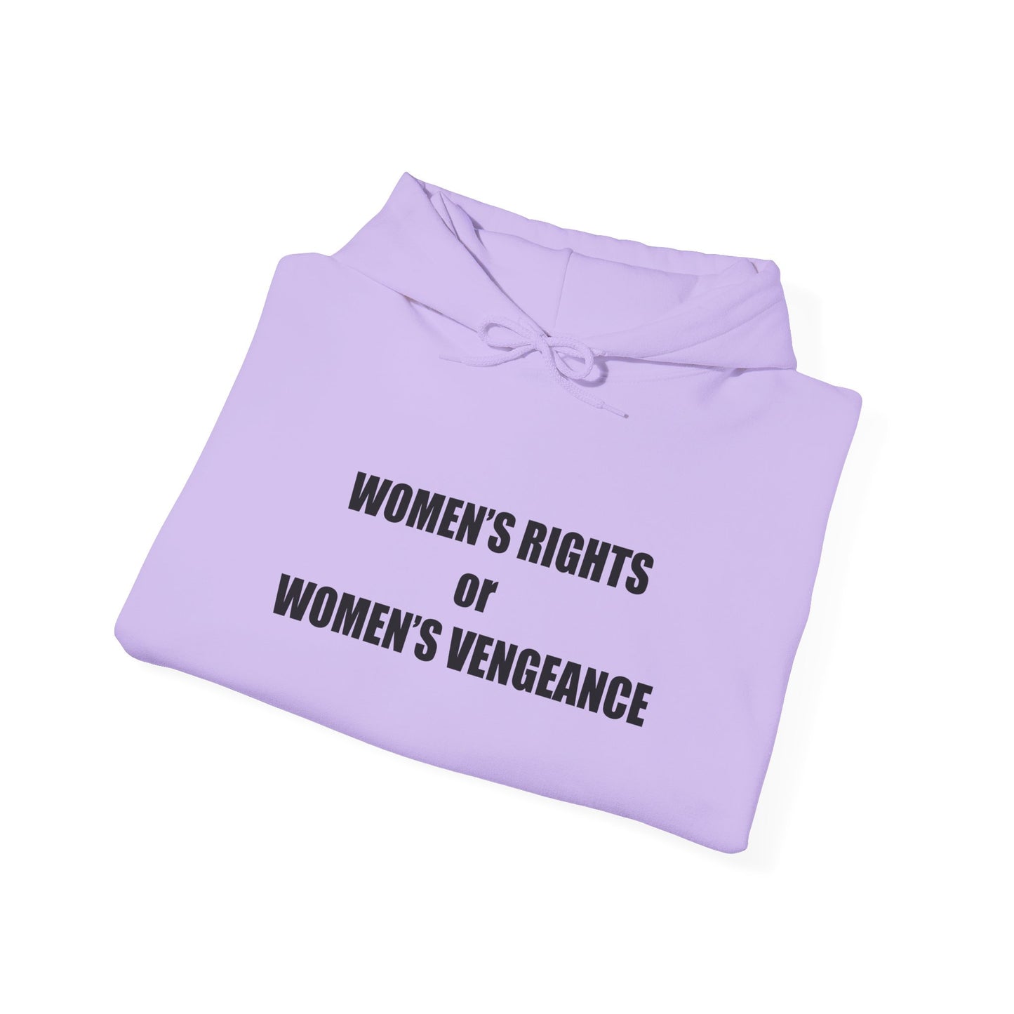 Hooded Sweatshirt - Women's Rights or Women's Vengeance - Motivational Hoodie