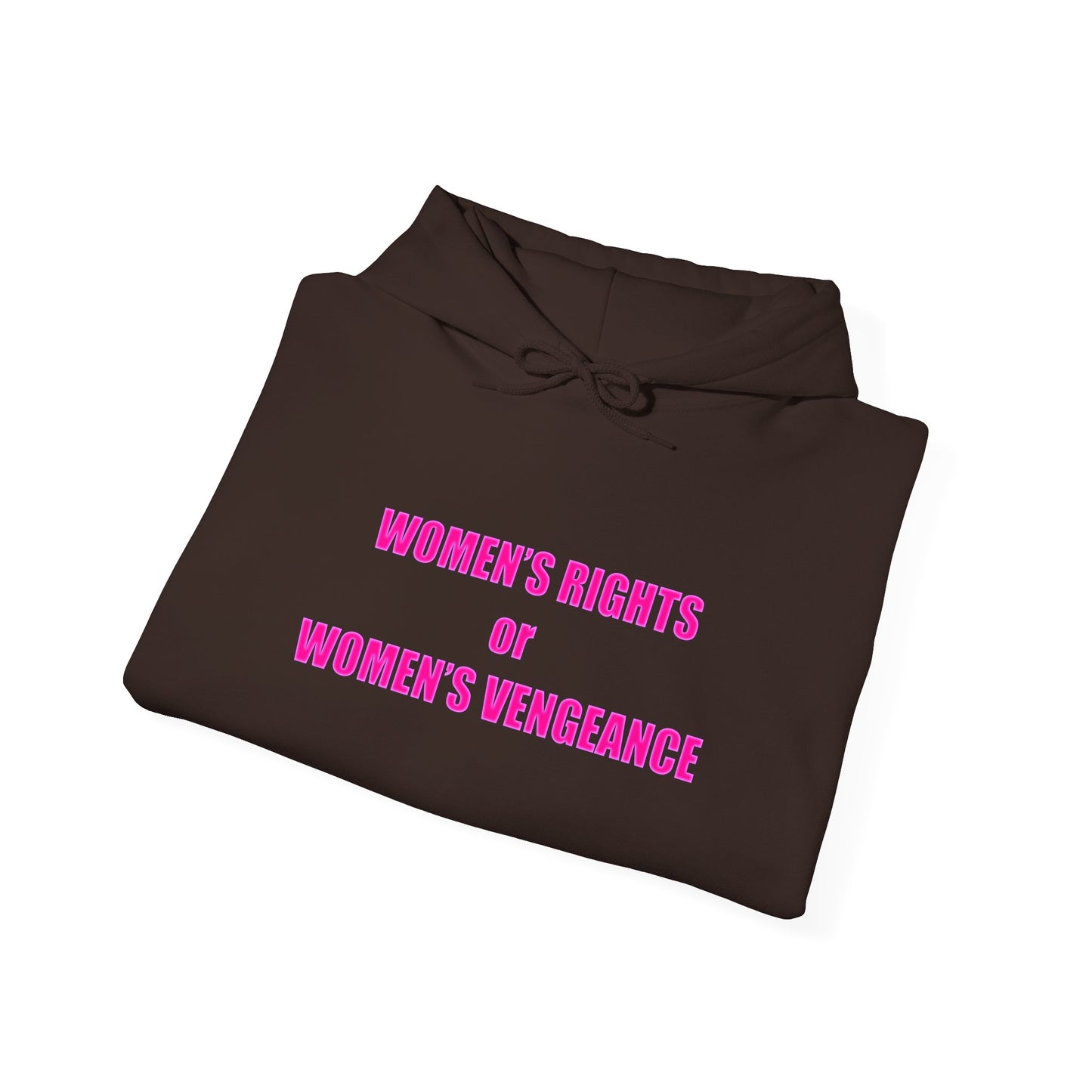 Pullover Hooded Sweatshirt - Women's Rights or Women's Vengeance Inspirational Protest Hoodie