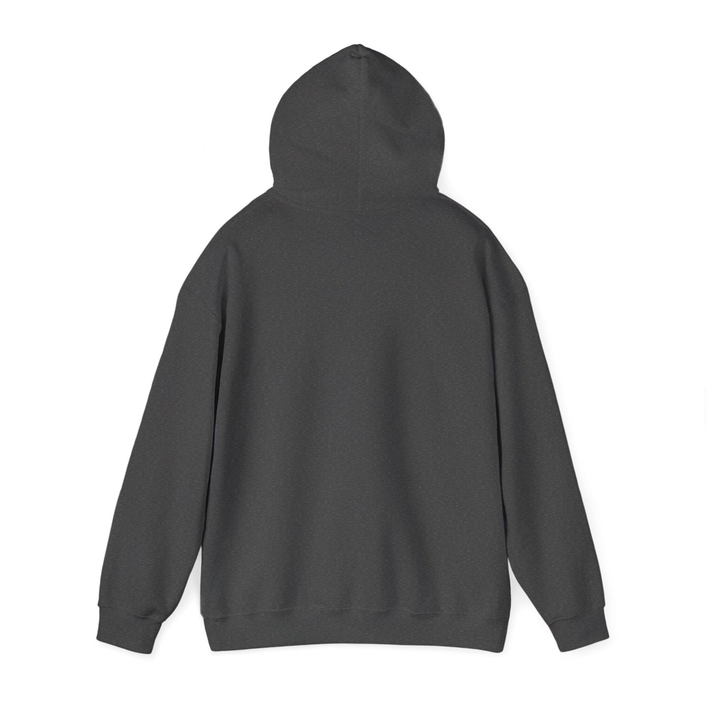 Hoodie — "I Frighten Conservatives" Rainbow Text Pullover