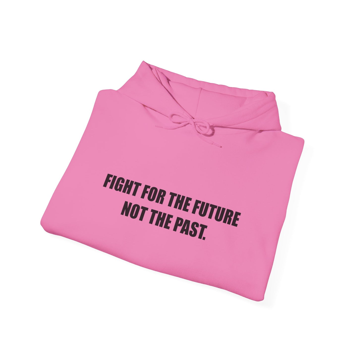 Hoodie — "Fight for the Future Not the Past" Motivational Slogan Hoodie