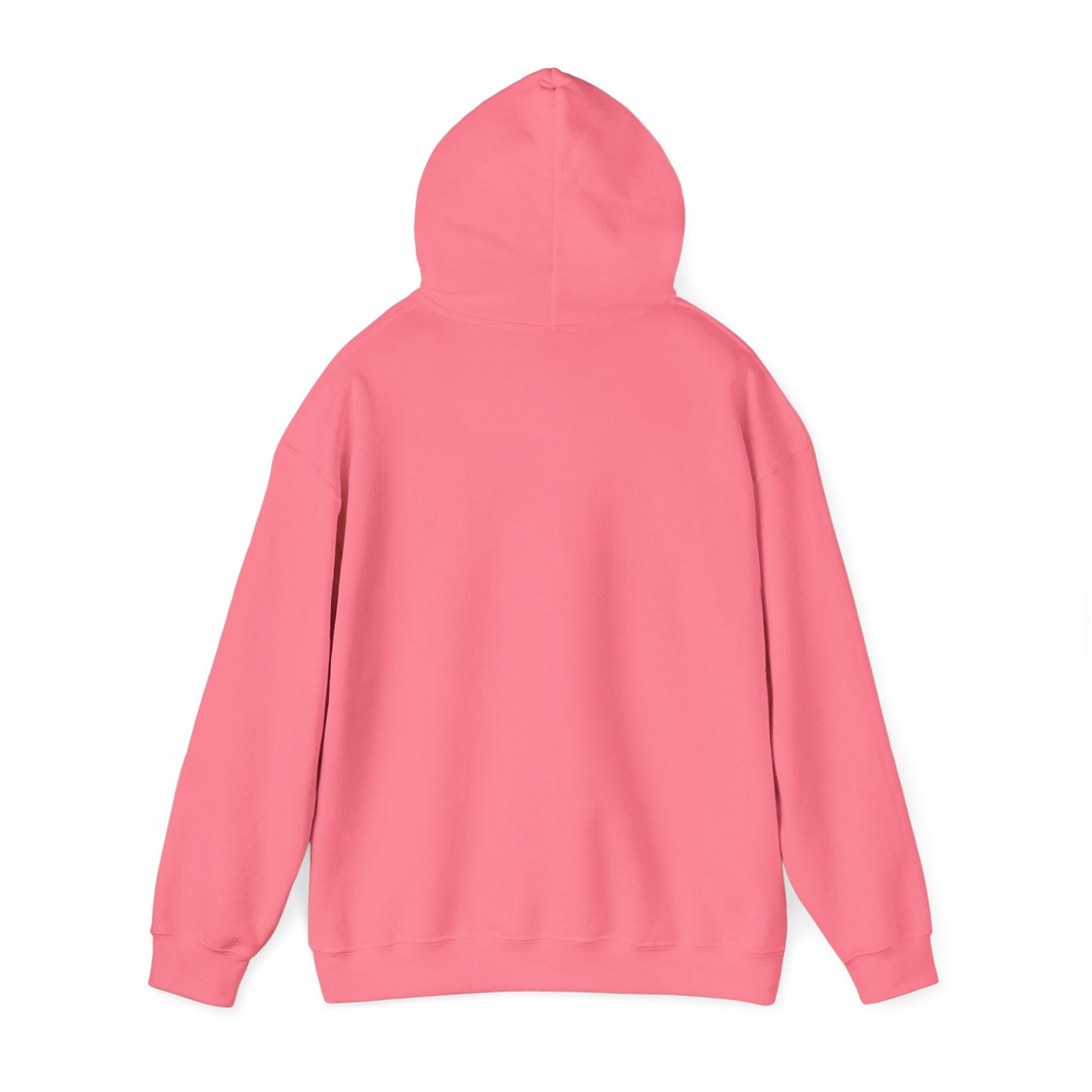 Hoodie — "Fight for the Future Not the Past" Motivational Slogan Hoodie