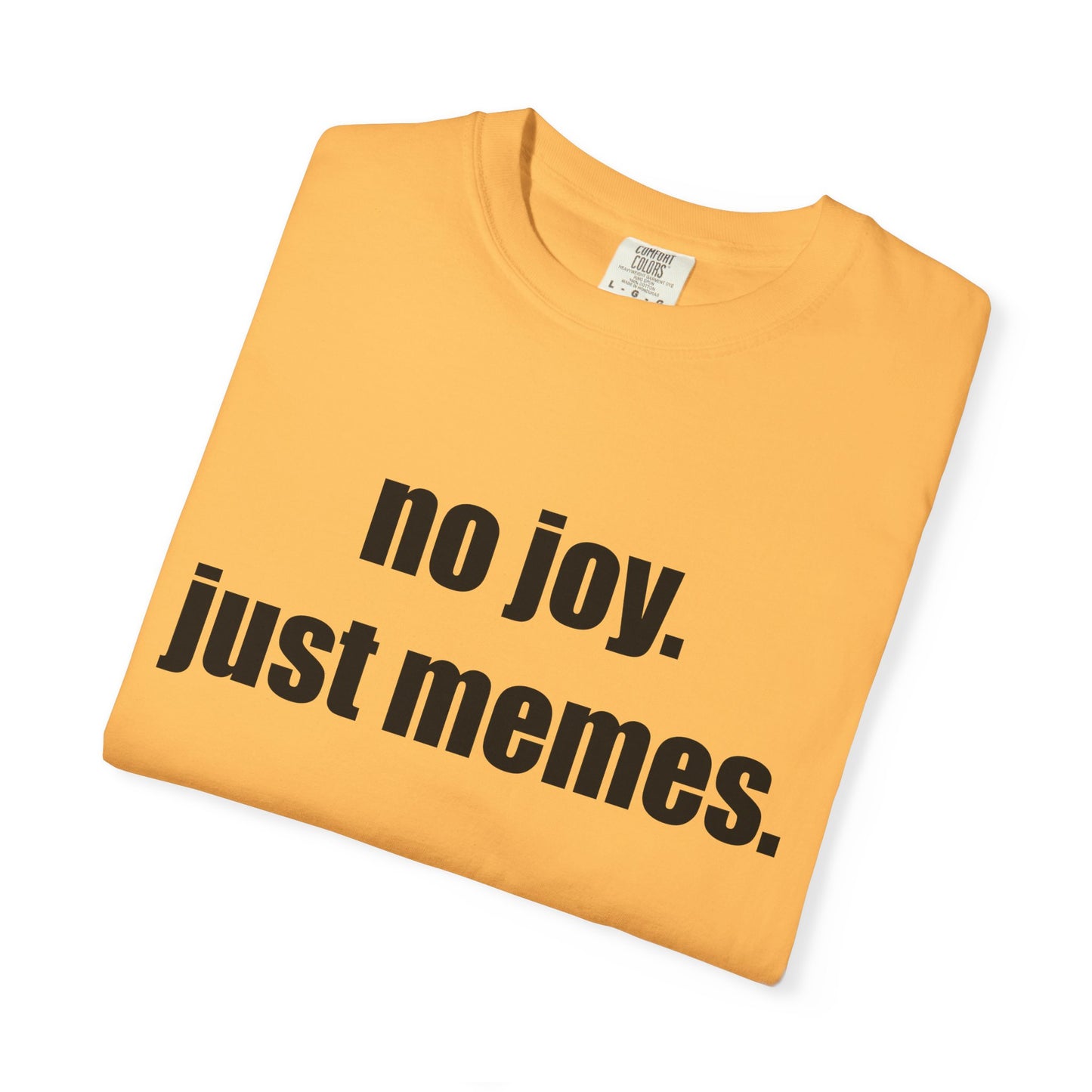 T-Shirt — "no joy. just memes." Graphic Tee