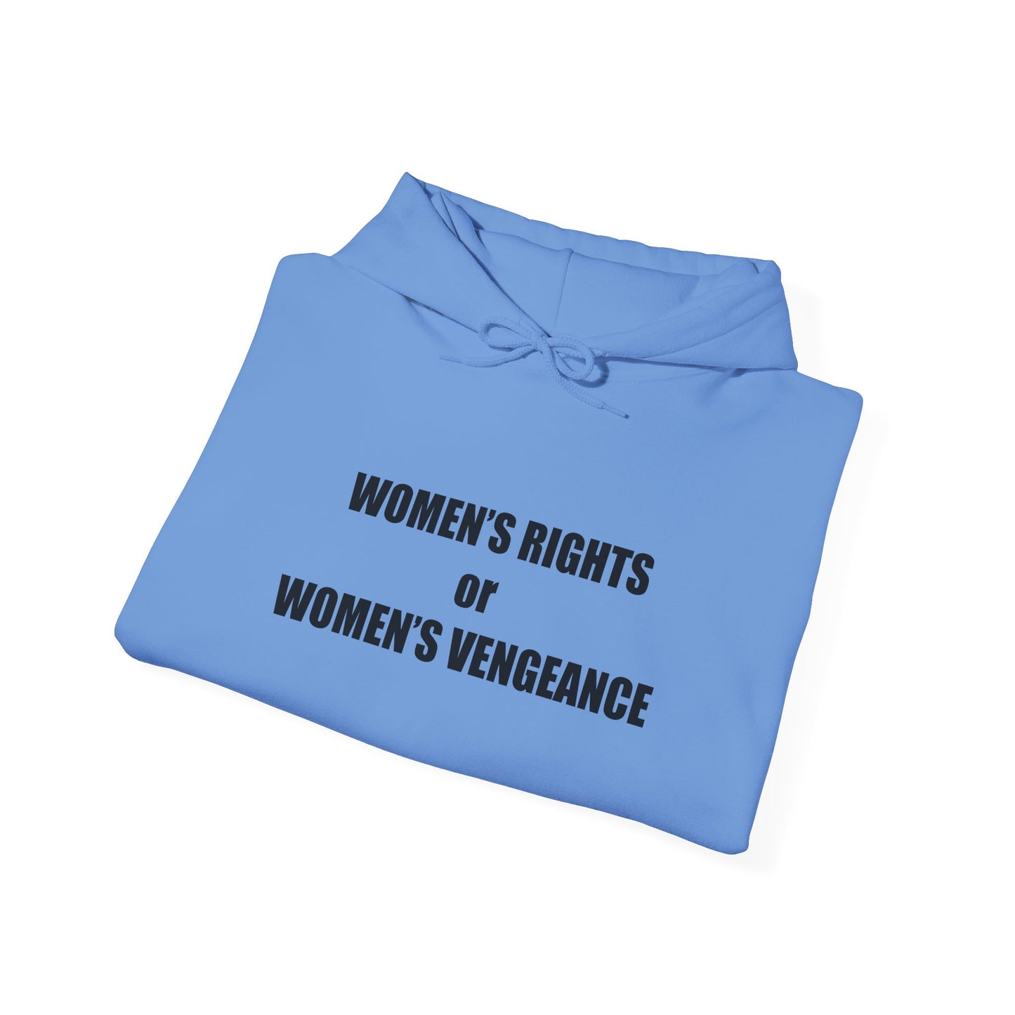 Hooded Sweatshirt - Women's Rights or Women's Vengeance - Motivational Hoodie