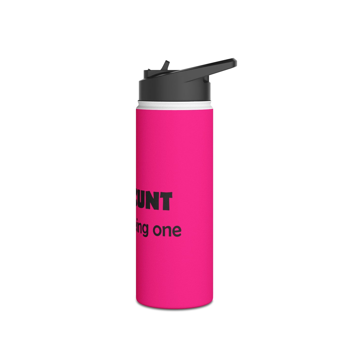 Bold Pink Stainless Steel Water Bottle —  'Lick a Cunt instead of being one' Sassy Insult Design