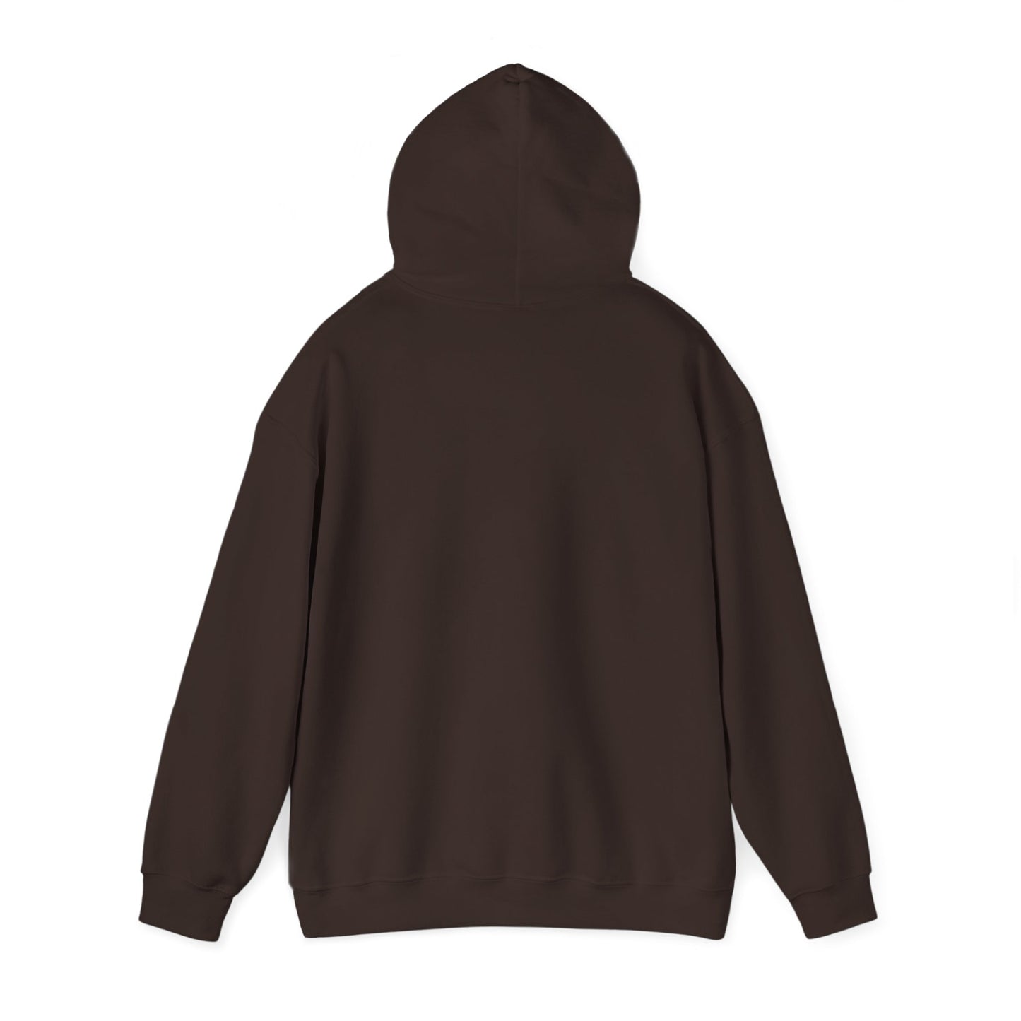 Hoodie - "Fight for the Future Not the Past" Inspirational Protest Hoodie