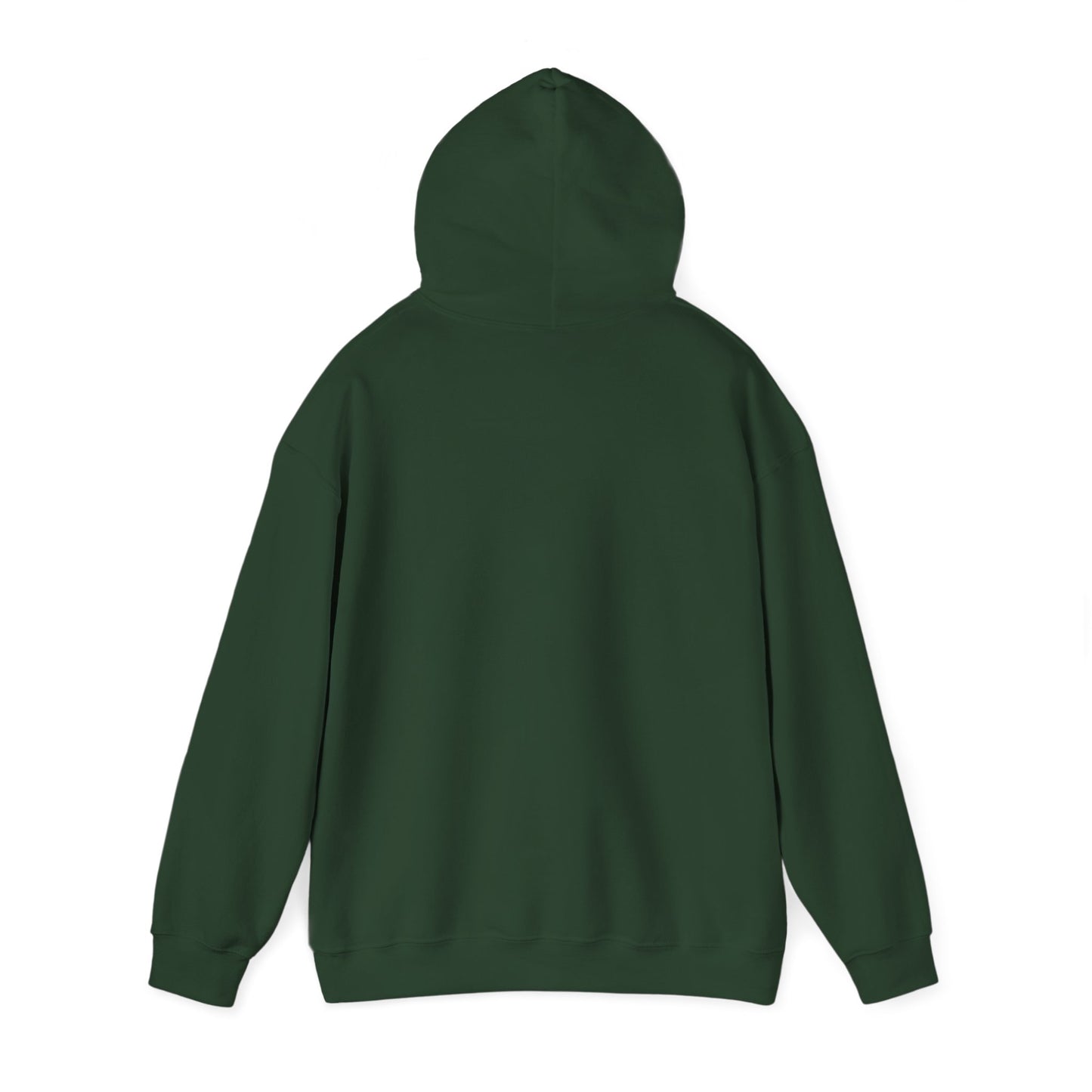 Hoodie - "Fight for the Future Not the Past" Inspirational Protest Hoodie