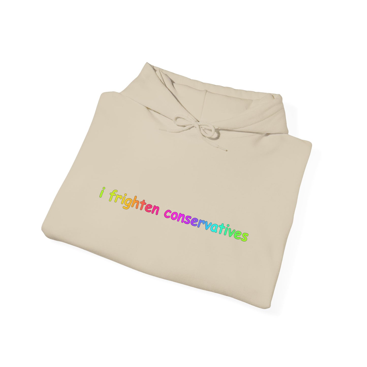 Hoodie — "I Frighten Conservatives" Rainbow Text Pullover