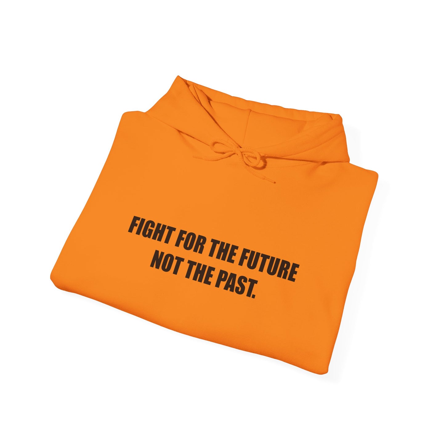 Hoodie — "Fight for the Future Not the Past" Motivational Slogan Hoodie