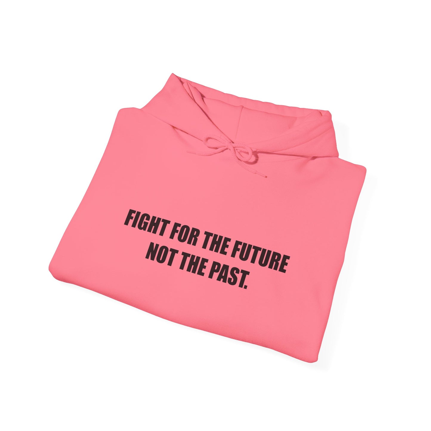 Hoodie — "Fight for the Future Not the Past" Motivational Slogan Hoodie