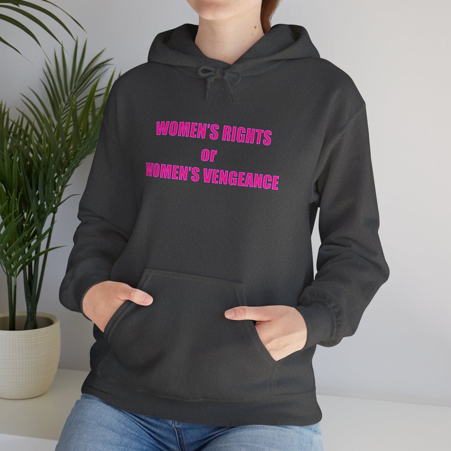 Pullover Hooded Sweatshirt - Women's Rights or Women's Vengeance Inspirational Protest Hoodie