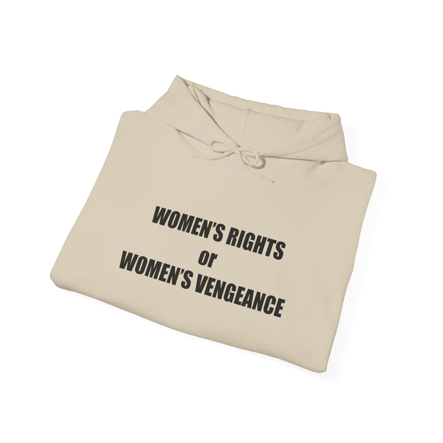 Hooded Sweatshirt - Women's Rights or Women's Vengeance - Motivational Hoodie