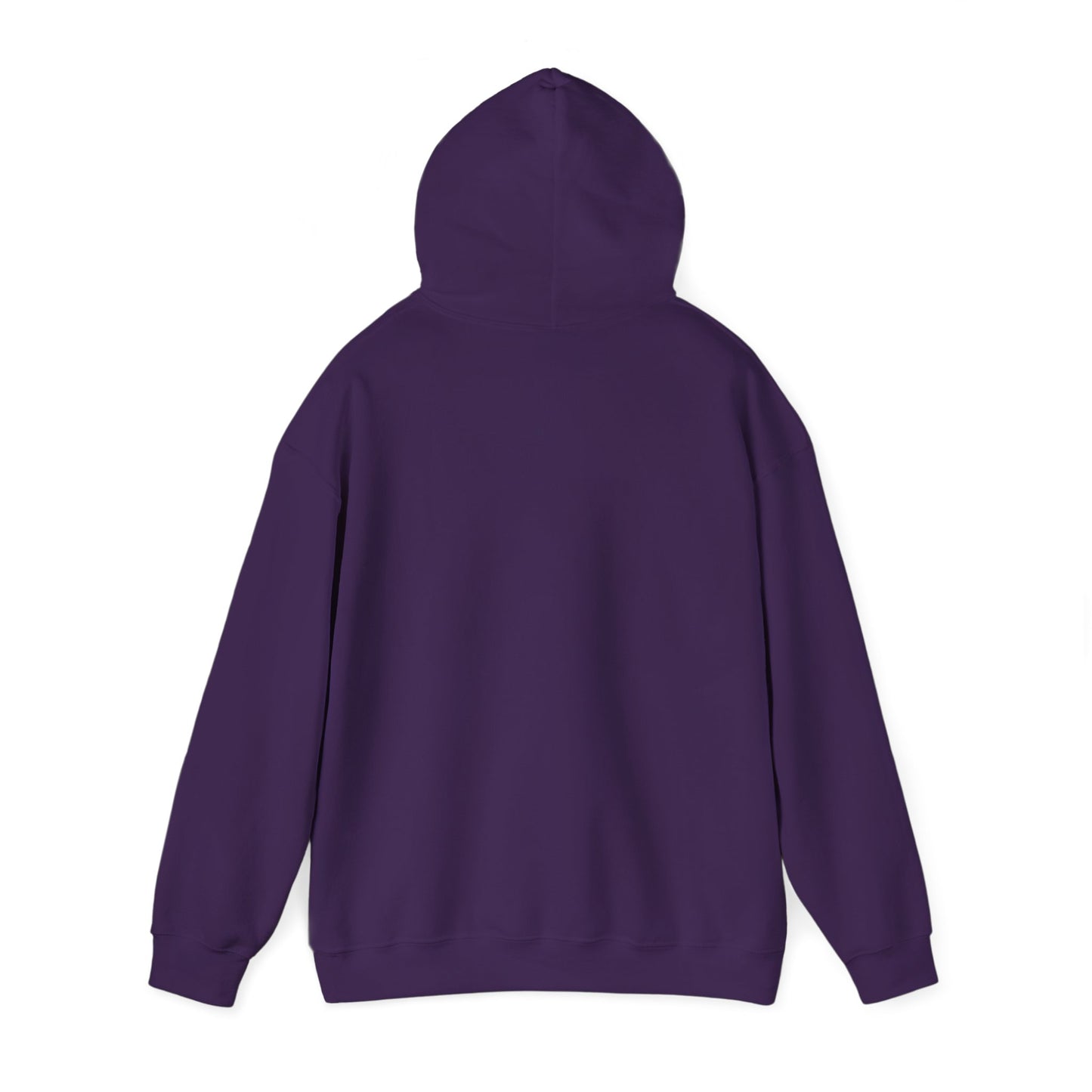 Pullover Hooded Sweatshirt - Women's Rights or Women's Vengeance Inspirational Protest Hoodie