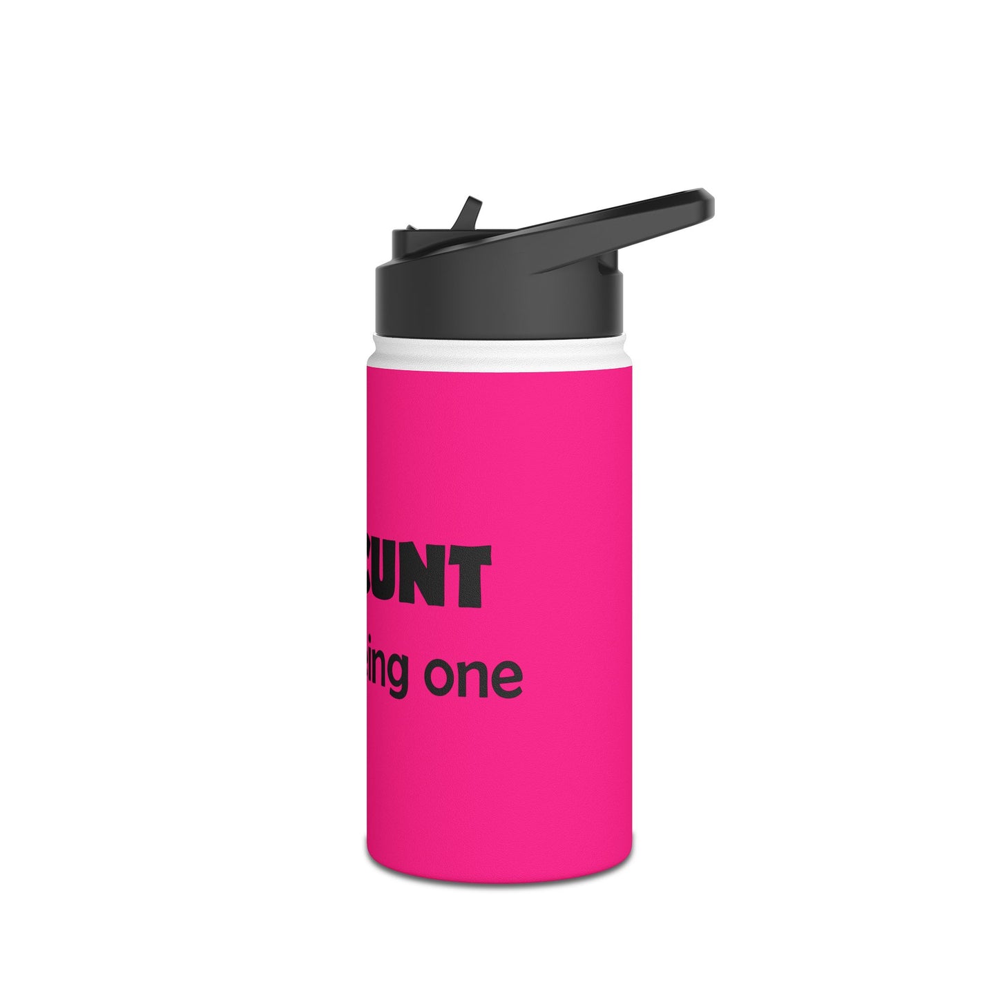 Bold Pink Stainless Steel Water Bottle —  'Lick a Cunt instead of being one' Sassy Insult Design