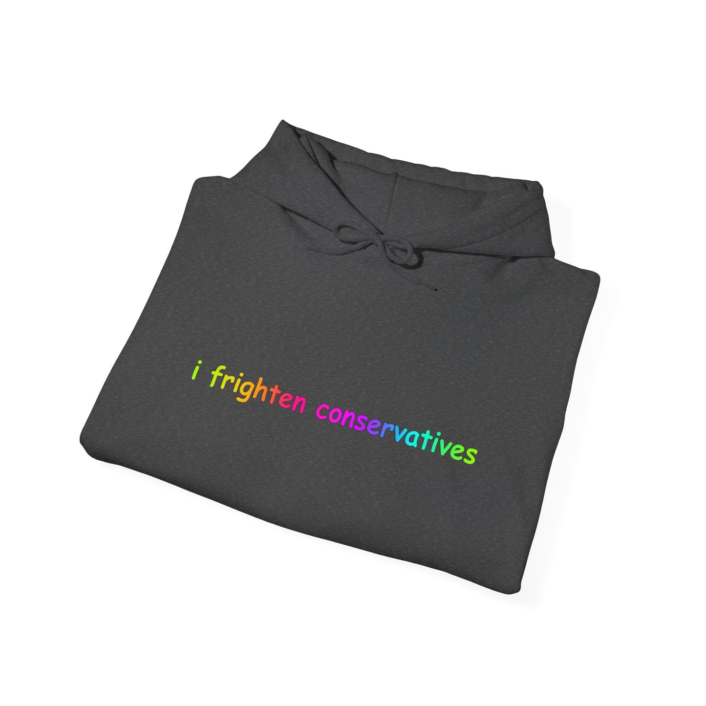Hoodie — "I Frighten Conservatives" Rainbow Text Pullover