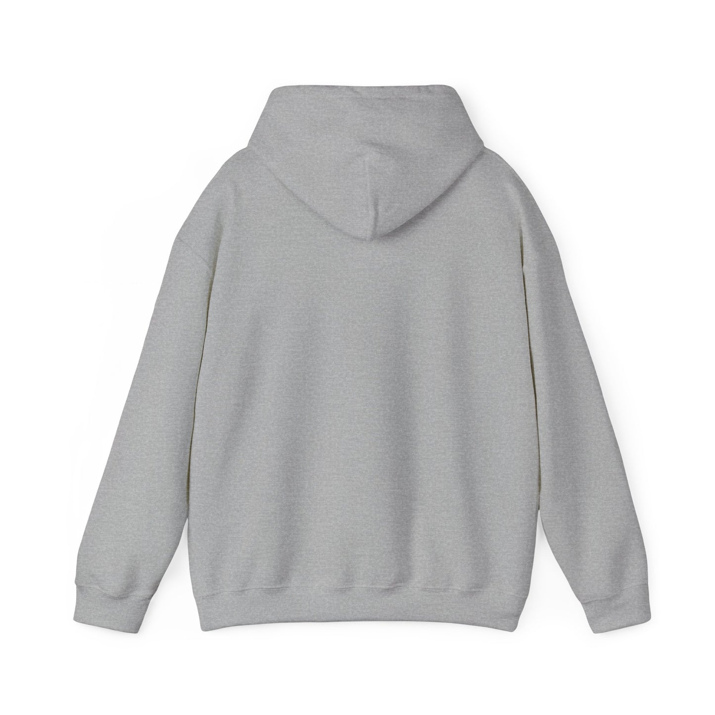 Pullover Hooded Sweatshirt - Women's Rights or Women's Vengeance Inspirational Protest Hoodie