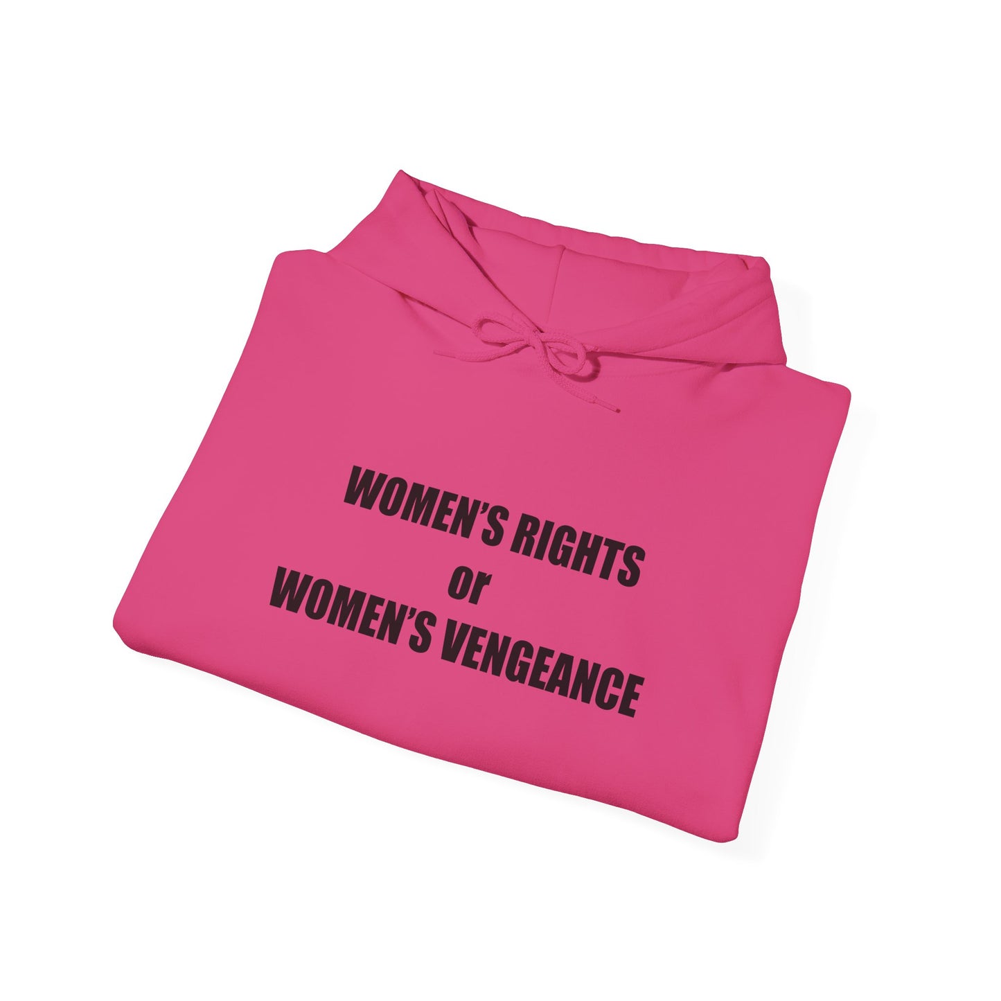 Hooded Sweatshirt - Women's Rights or Women's Vengeance - Motivational Hoodie