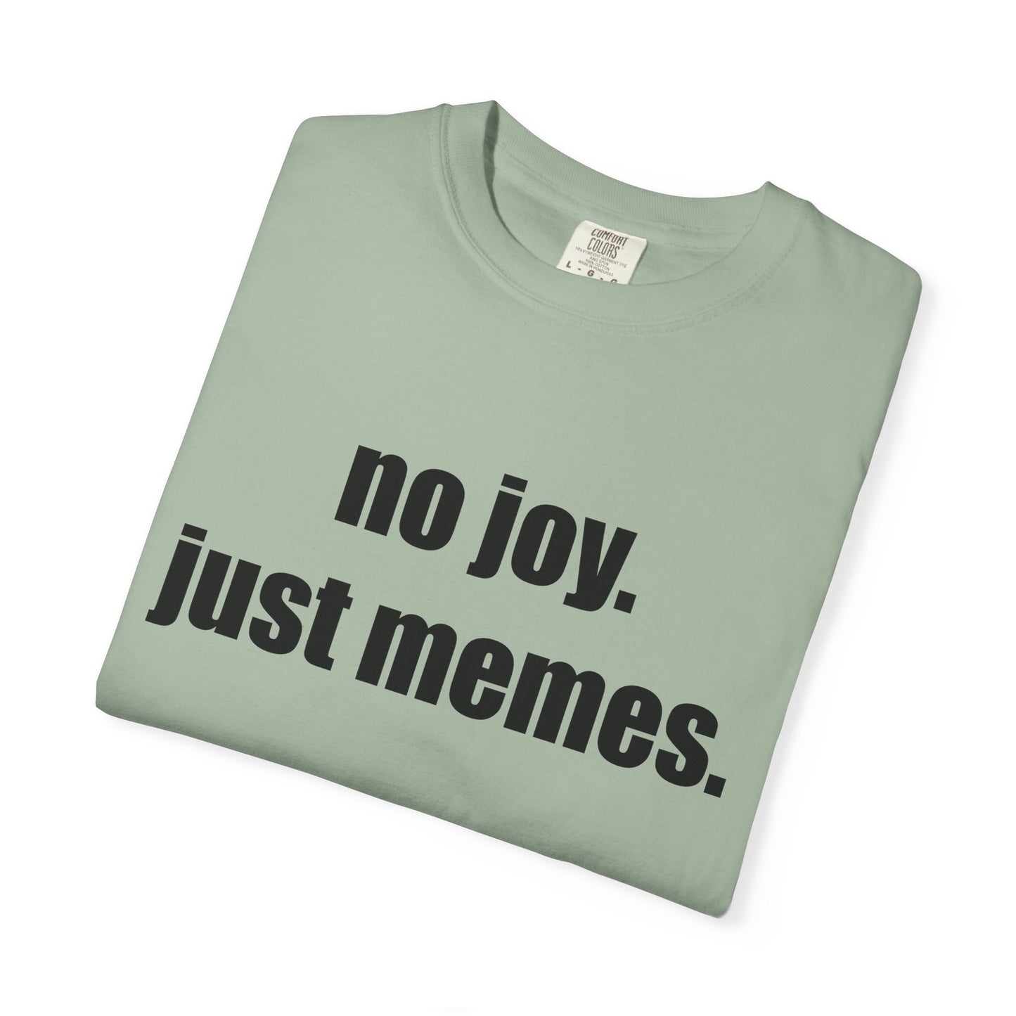 T-Shirt — "no joy. just memes." Graphic Tee