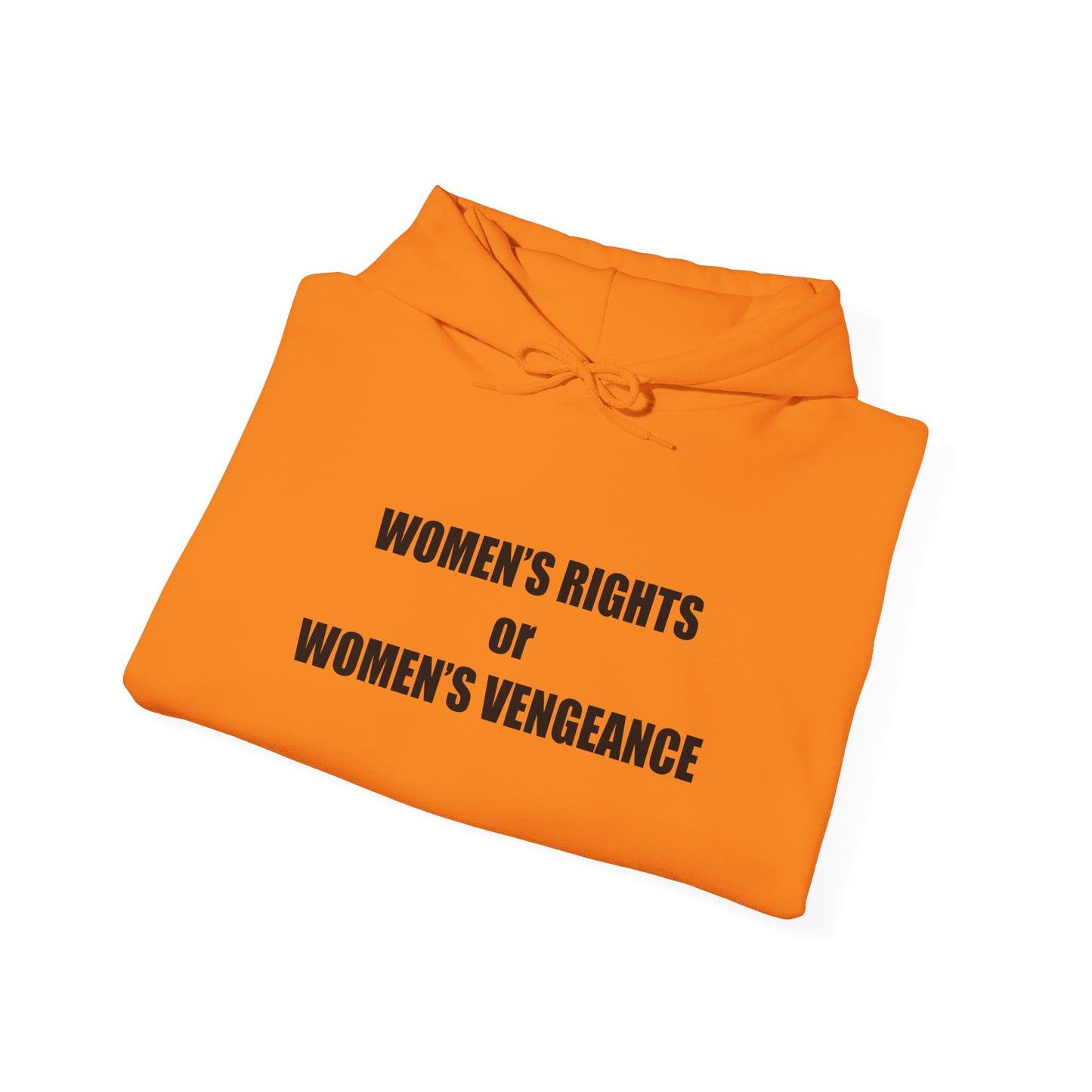 Hooded Sweatshirt - Women's Rights or Women's Vengeance - Motivational Hoodie
