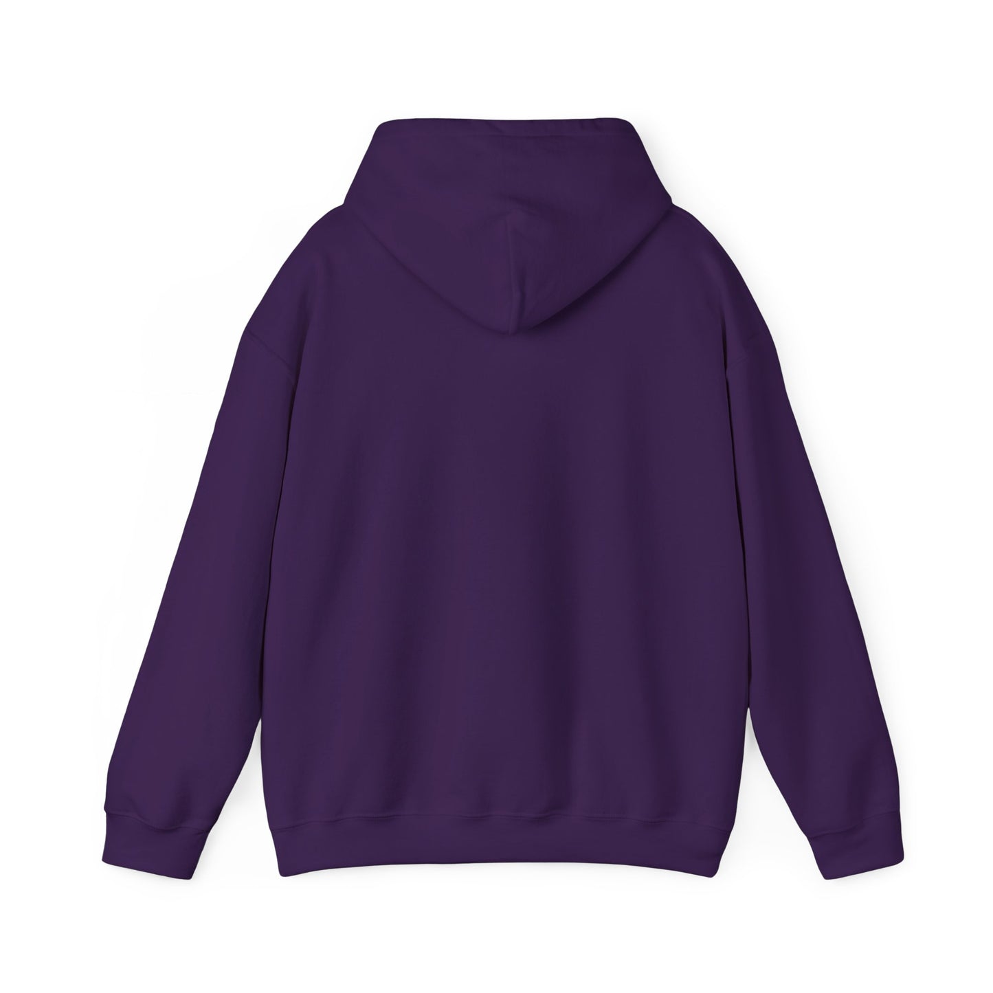 Pullover Hooded Sweatshirt - Women's Rights or Women's Vengeance Inspirational Protest Hoodie