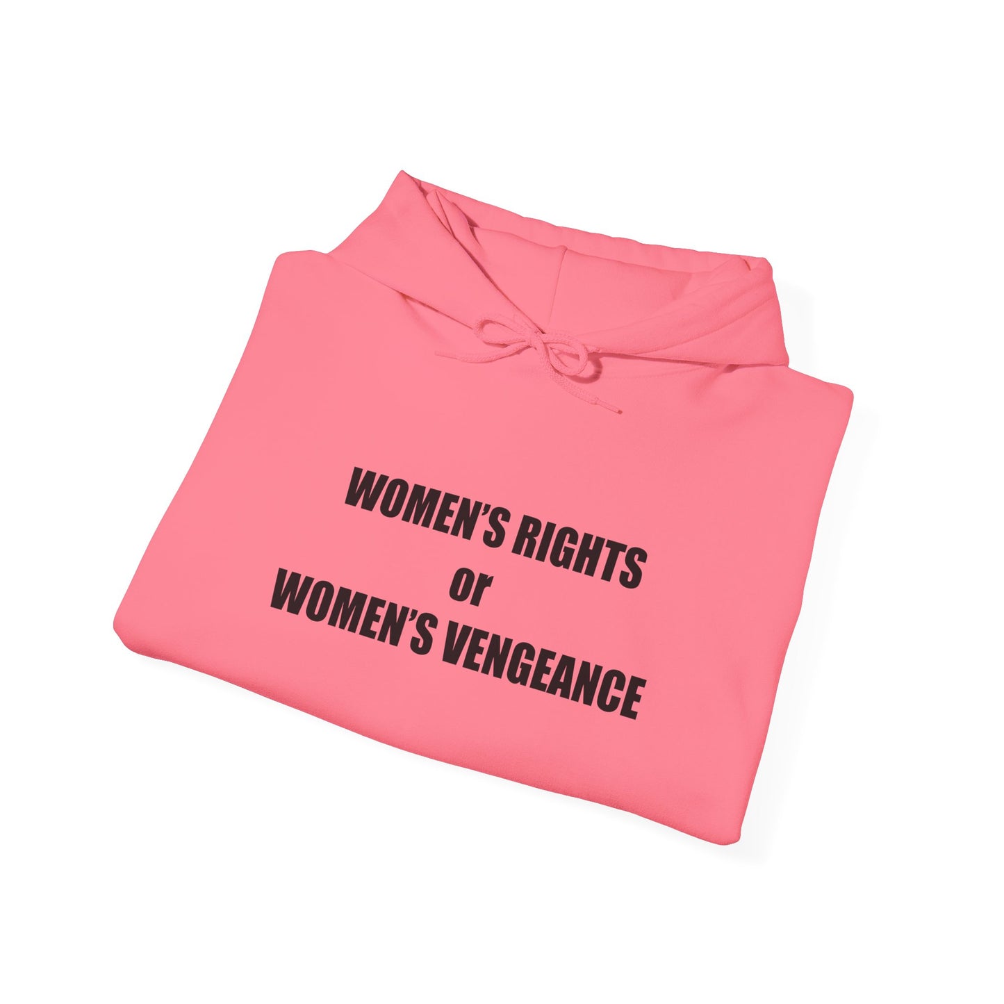 Hooded Sweatshirt - Women's Rights or Women's Vengeance - Motivational Hoodie