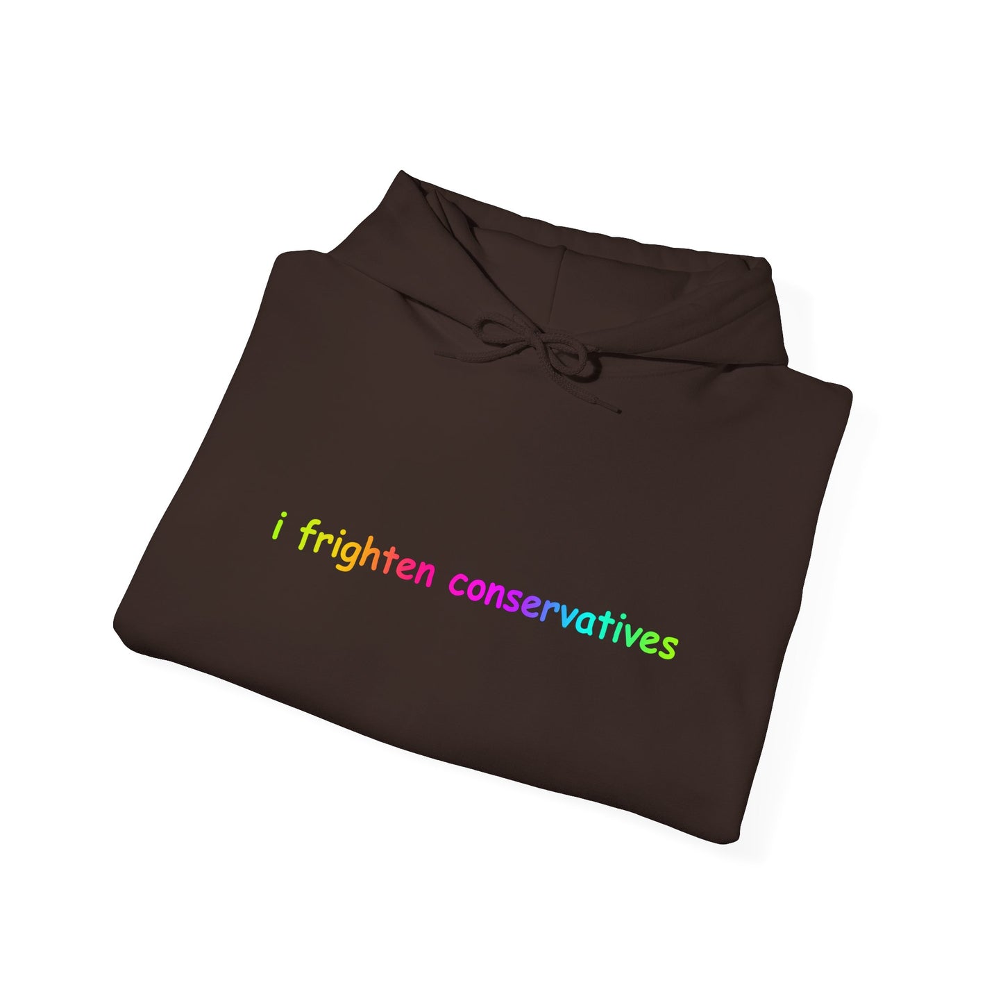 Hoodie — "I Frighten Conservatives" Rainbow Text Pullover