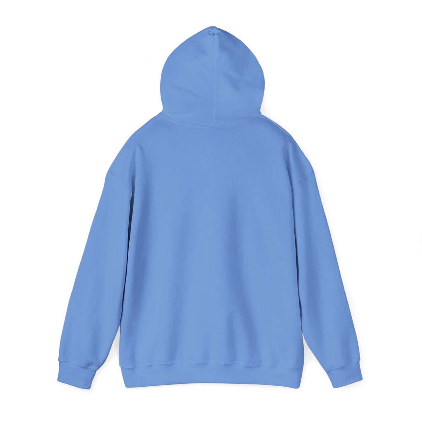 Hoodie — "Fight for the Future Not the Past" Motivational Slogan Hoodie