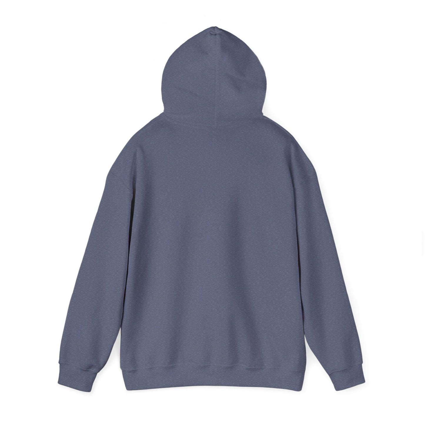 Hoodie - "Fight for the Future Not the Past" Inspirational Protest Hoodie
