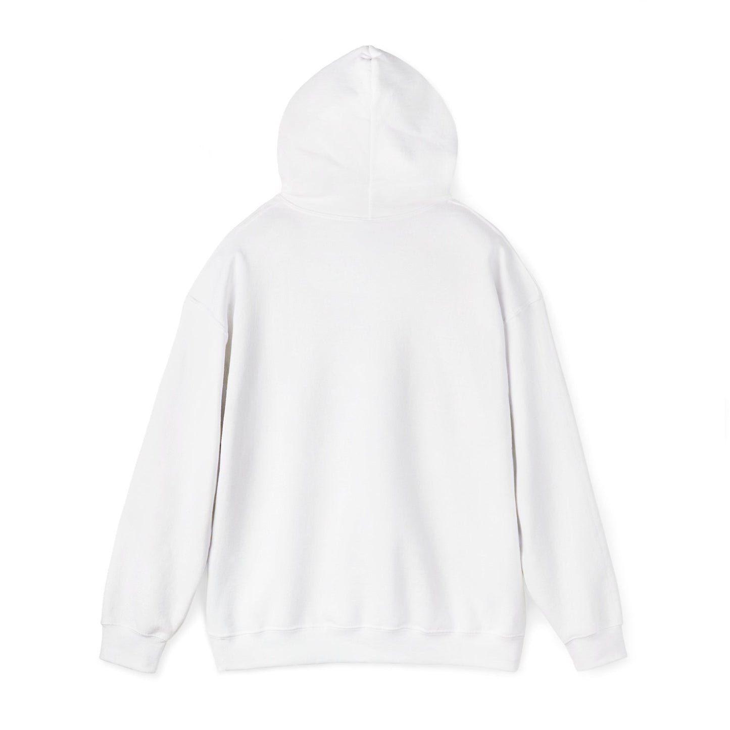 Hoodie — "I Frighten Conservatives" Rainbow Text Pullover
