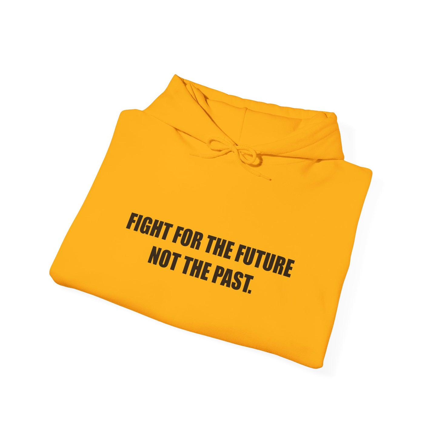 Hoodie — "Fight for the Future Not the Past" Motivational Slogan Hoodie